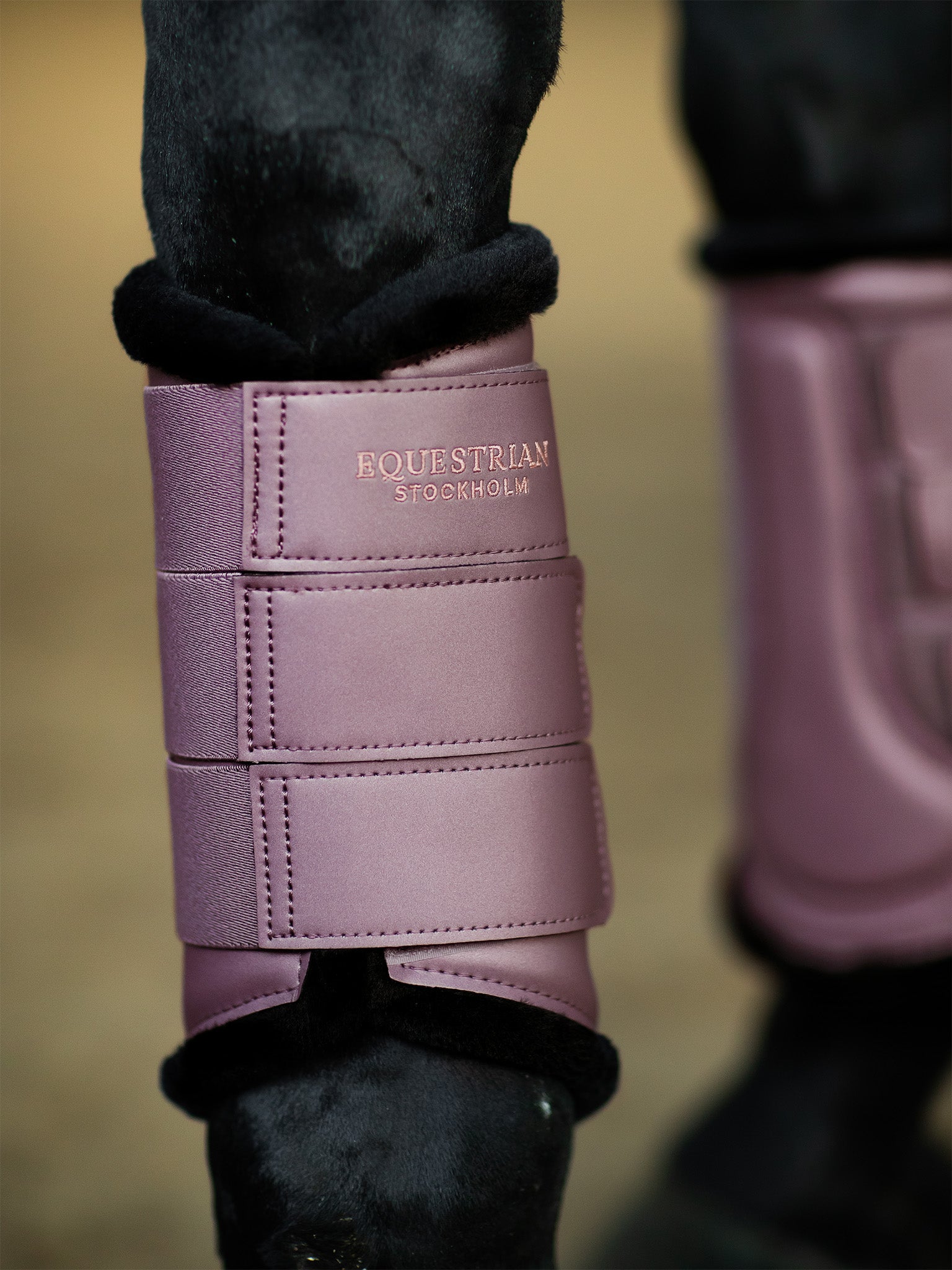 Brushing Boots Anemone | Equestrian Stockholm