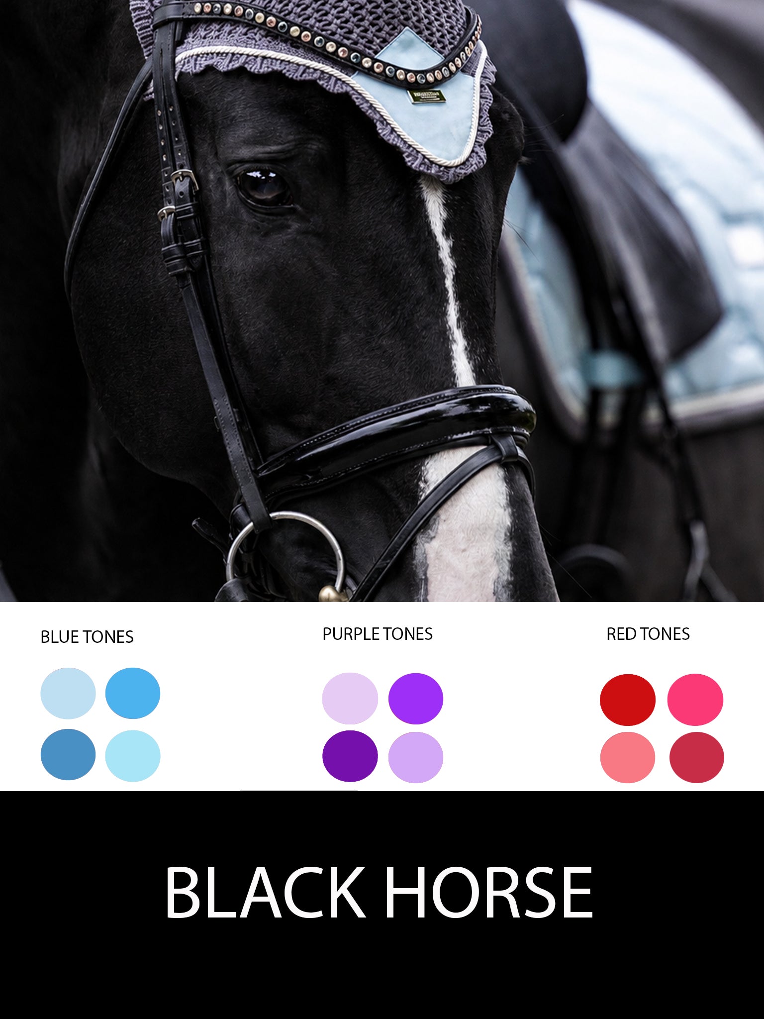 EQUESTRIAN STOCKHOLM・ワンコセット/3色 Dressage | Equestrian Stockholm