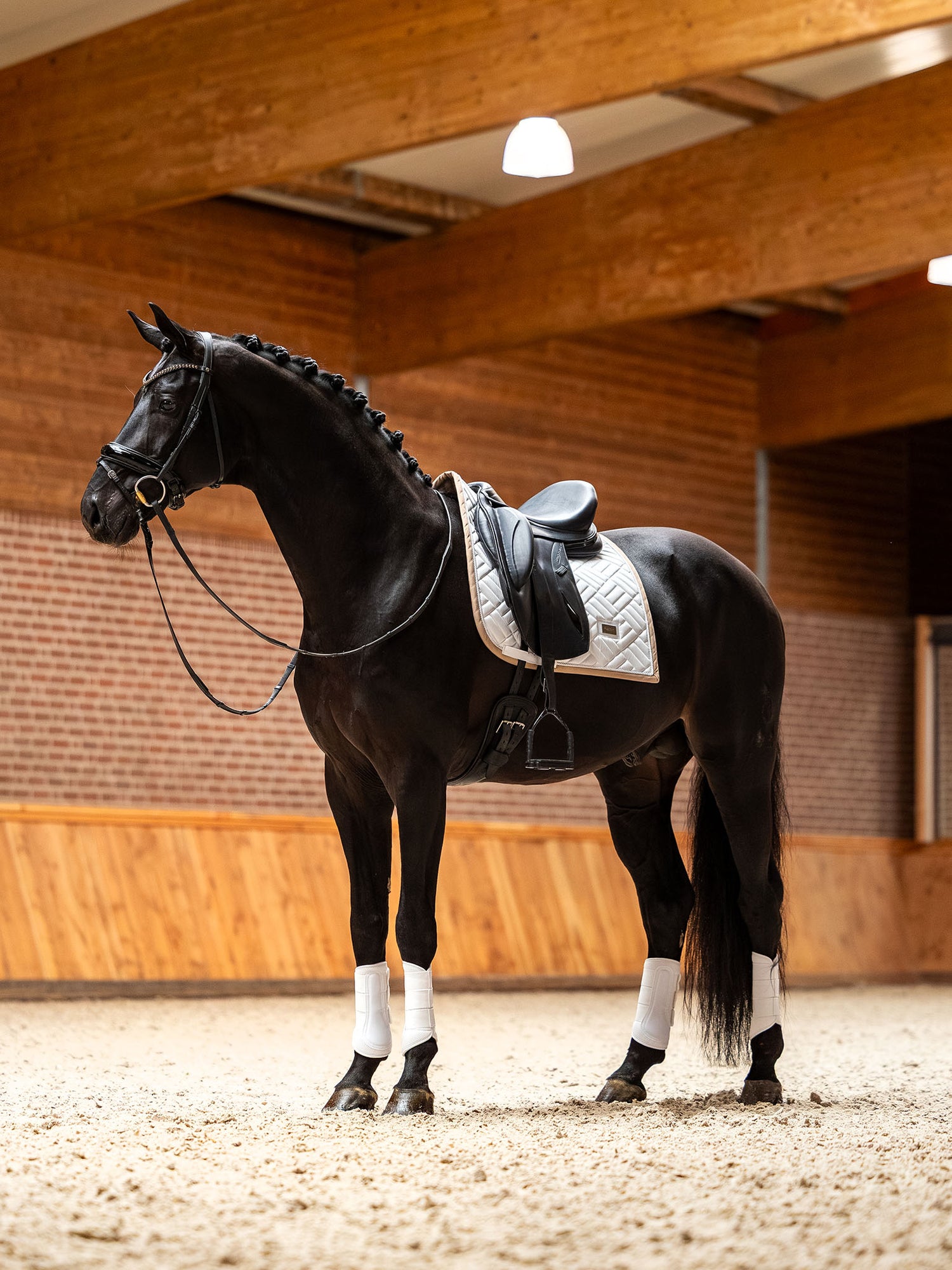Dressage Saddle Pad Modern White Sand