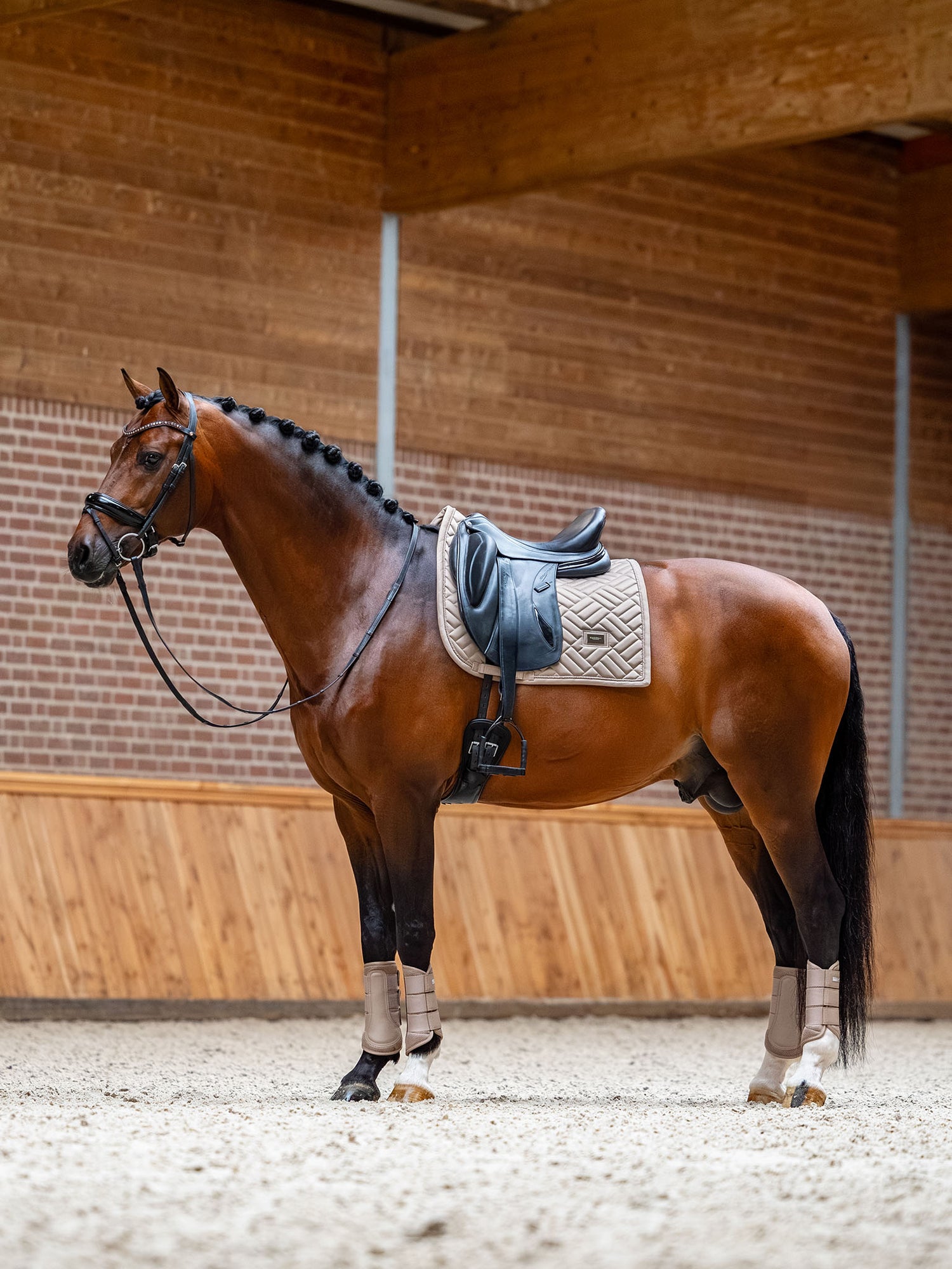 Dressage Saddle Pad Modern Sand