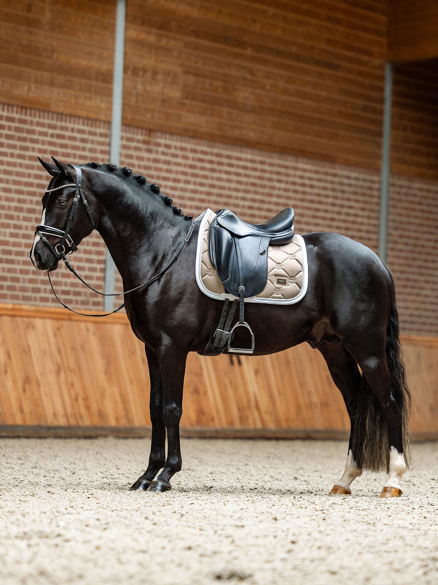 Dressage Saddle Pad Sand