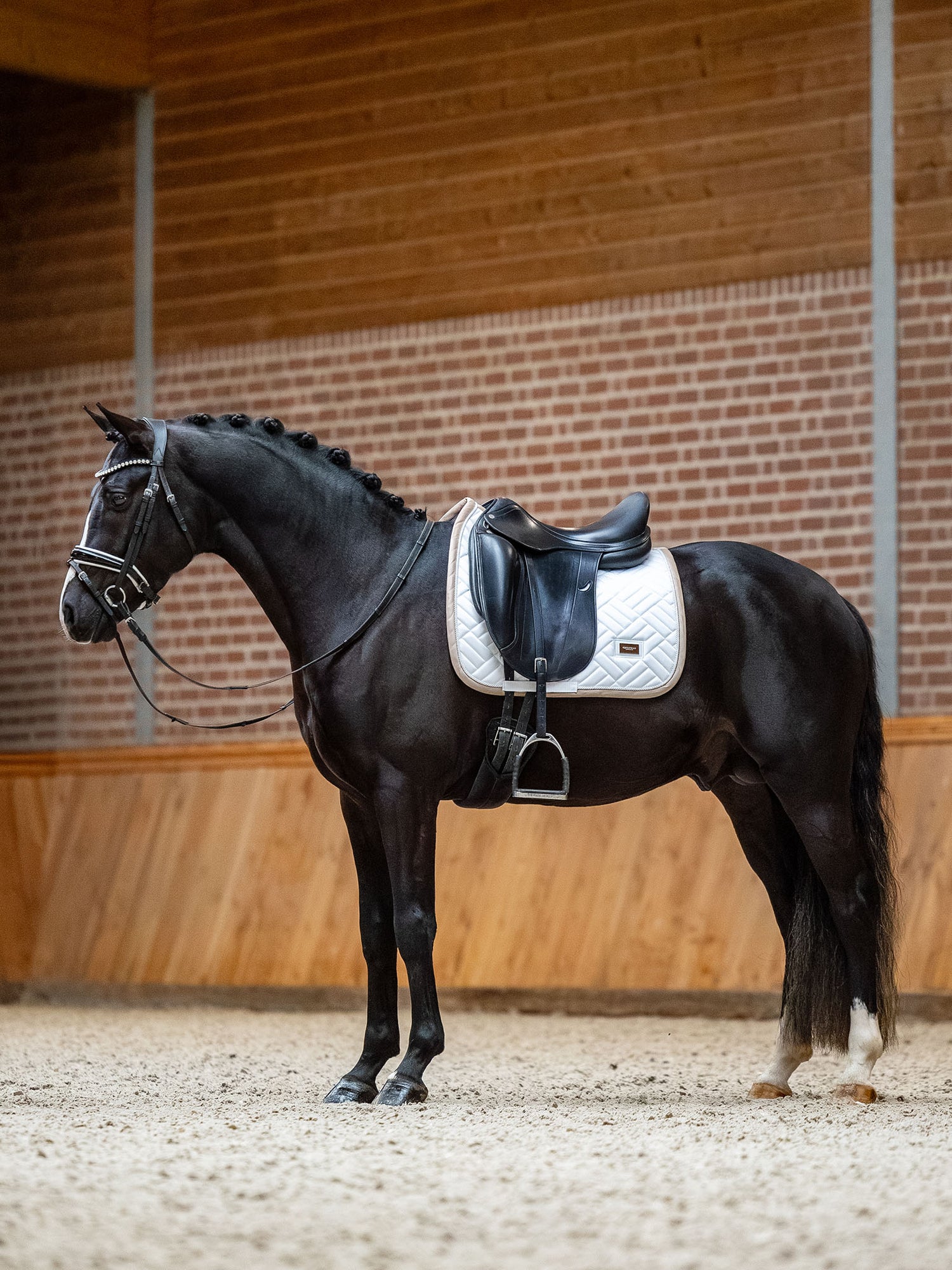 Dressage Saddle Pad Modern White Sand