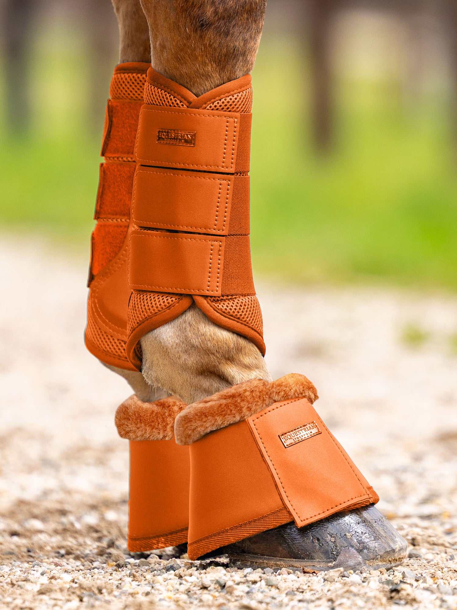 Guêtres Fermées mesh Chestnut