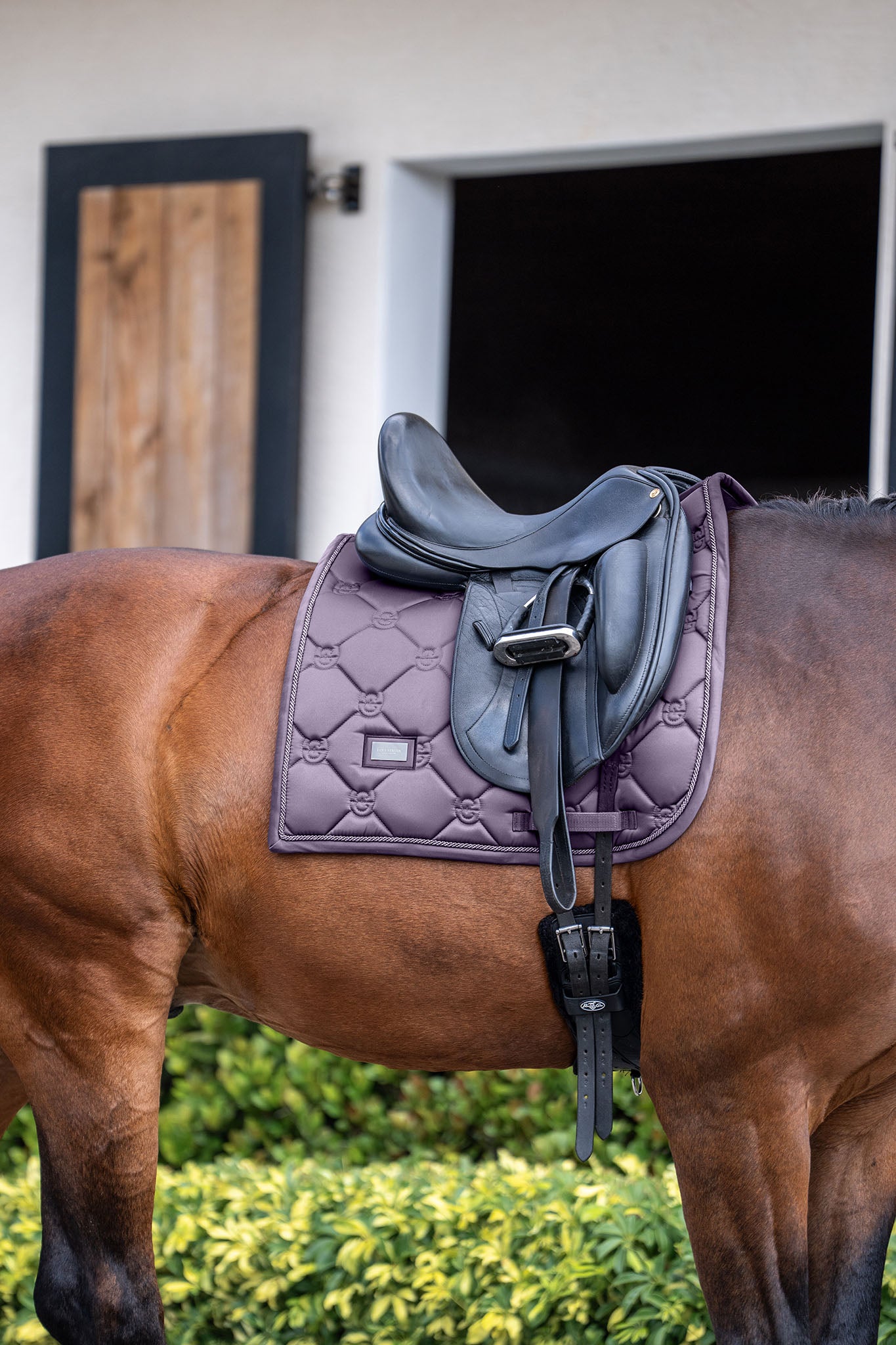 Dressage Saddle Pad Dark Violet | Equestrian Stockholm