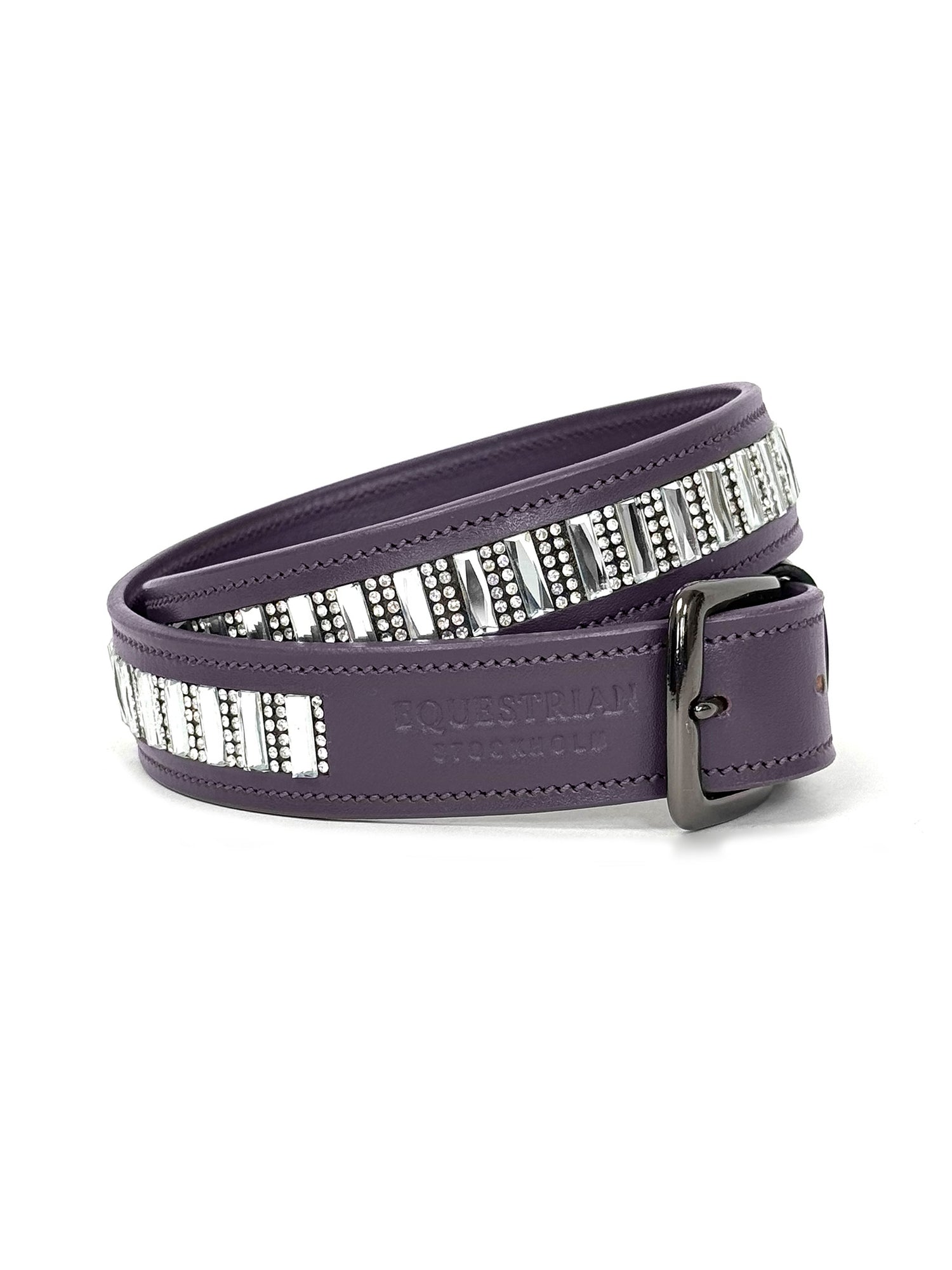 Ceinture de concours Dark Violet