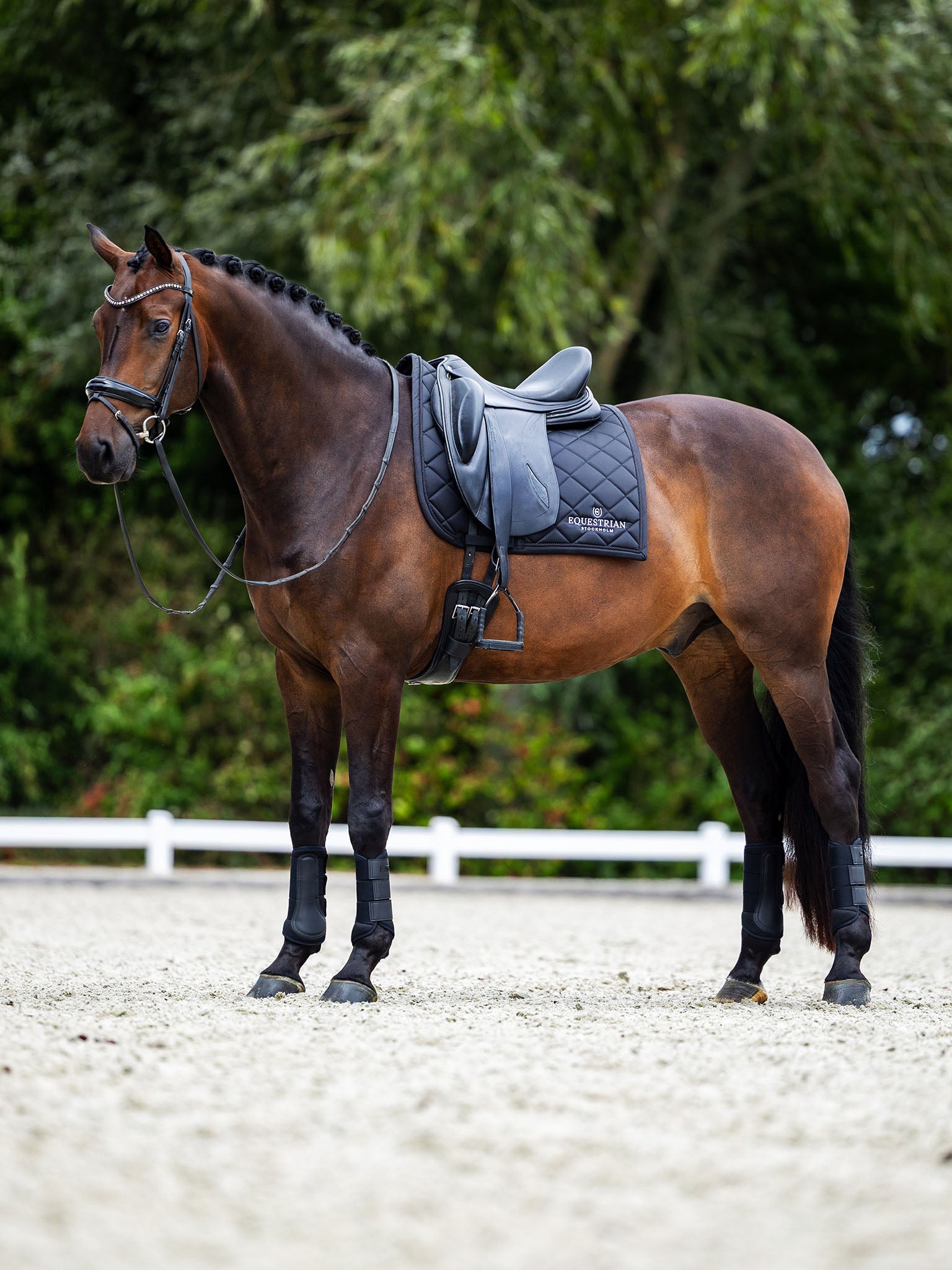 Black Edition | Equestrian Stockholm