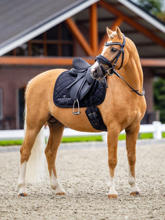Equestrian Stockholm Dressurunderlag Line Black på en rød hest med en sort dressursadel i en arena.