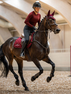 Equestrian Stockholm Springunderlag Line Bordeaux på en brun hest med matchende ørehætte i en ridehal.