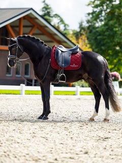 Equestrian Stockholm Dressage Saddle Pad Line Bordeaux on a dark horse with a black saddle and bridle in an arena.