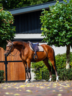 Equestrian Stockholm Springschabracke Line Champagne auf einem Braunen mit Fliegenhaube, Gamaschen und Springsattel.