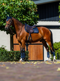 Bay horse wearing the navy Equestrian Stockholm Jump Saddle Pad Line Midnight Blue with matching fly hood and boots.