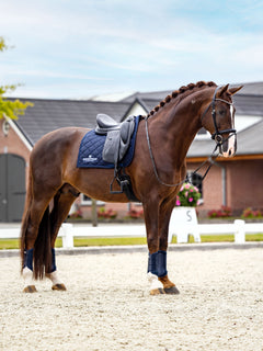 Equestrian Stockholm Dressage Saddle Pad Line Midnight Blue on a chestnut horse with a saddle and navy leg wraps.