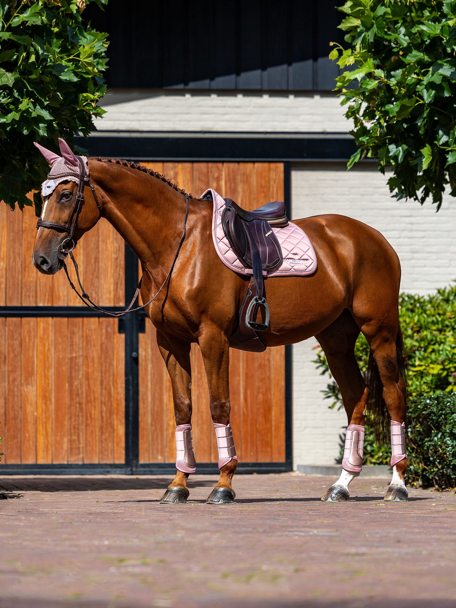 Equestrian Stockholm Jump Saddle Pad Line Pink on a brown horse with matching pink ear net and boots at a stable.