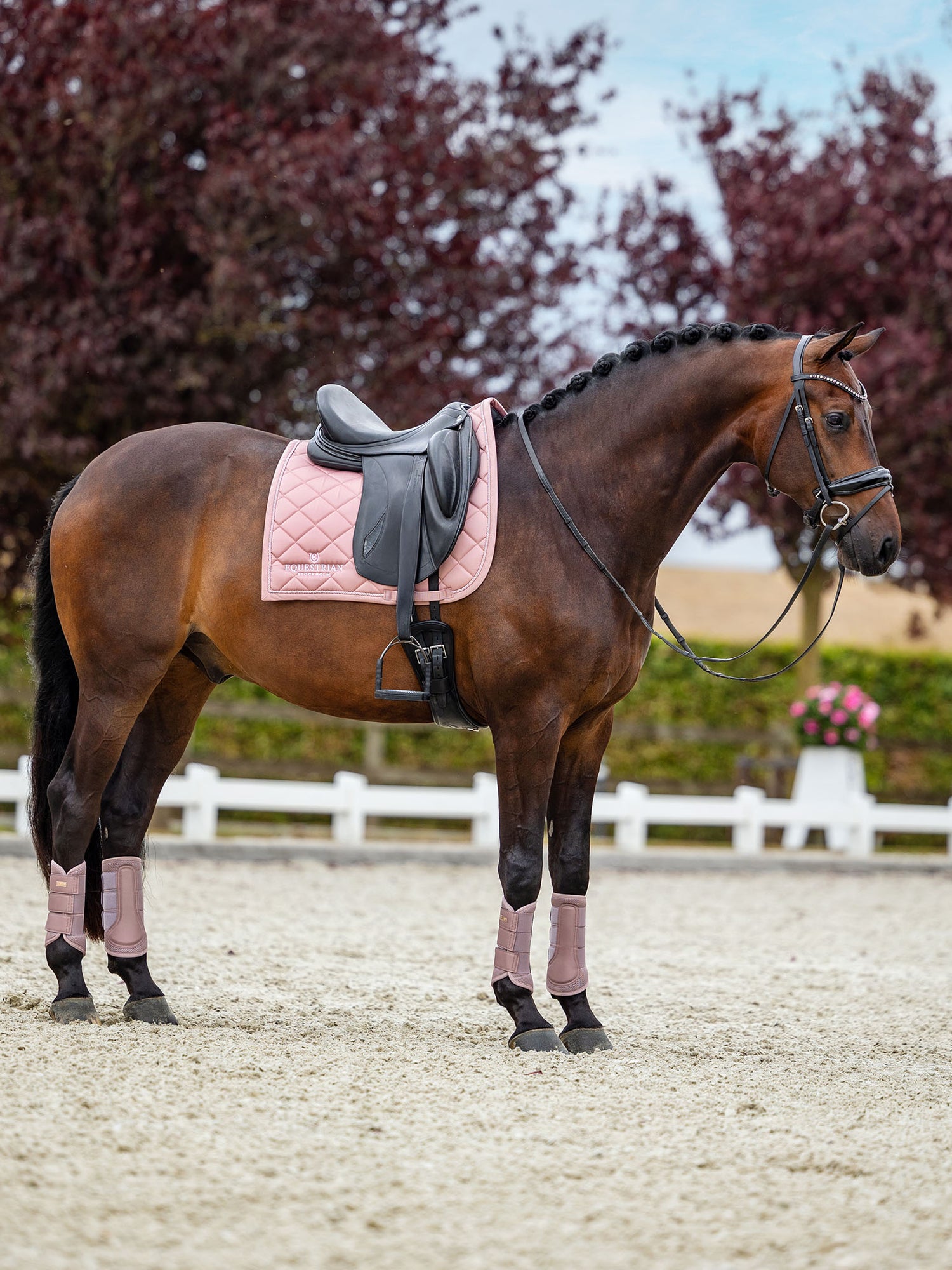 Equestrian Stockholm dressurunderlag Line Pink på en brun hest med matchende benbeskyttere, sort sadel og trense.