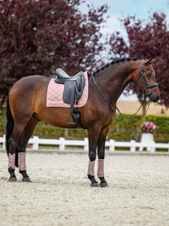 Equestrian Stockholm dressurunderlag Line Pink på en brun hest med matchende benbeskyttere, sort sadel og trense.