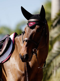 Bonnet anti-bruit noir Equestrian Stockholm Merlot sur un cheval bai, avec tapis de selle et filet en cuir.