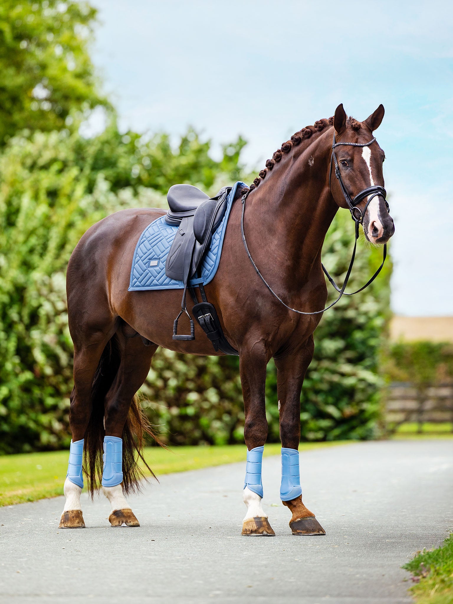 Coming Soon | Equestrian Stockholm
