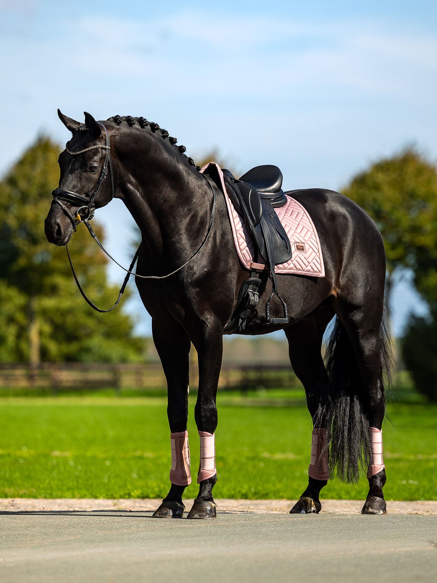 Equestrian Stockholm | Modern Scandinavian design for serious riders