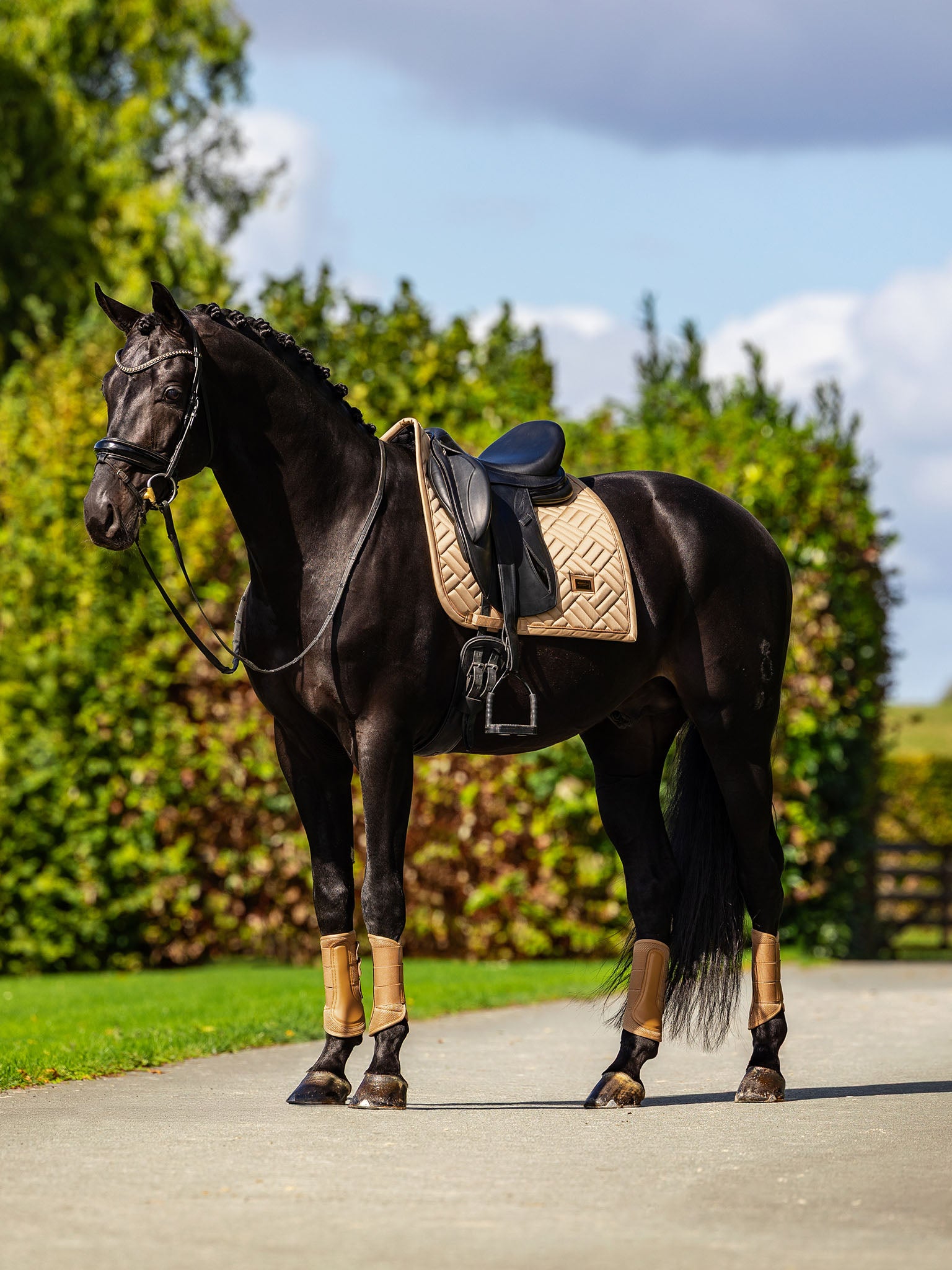 Coming Soon | Equestrian Stockholm