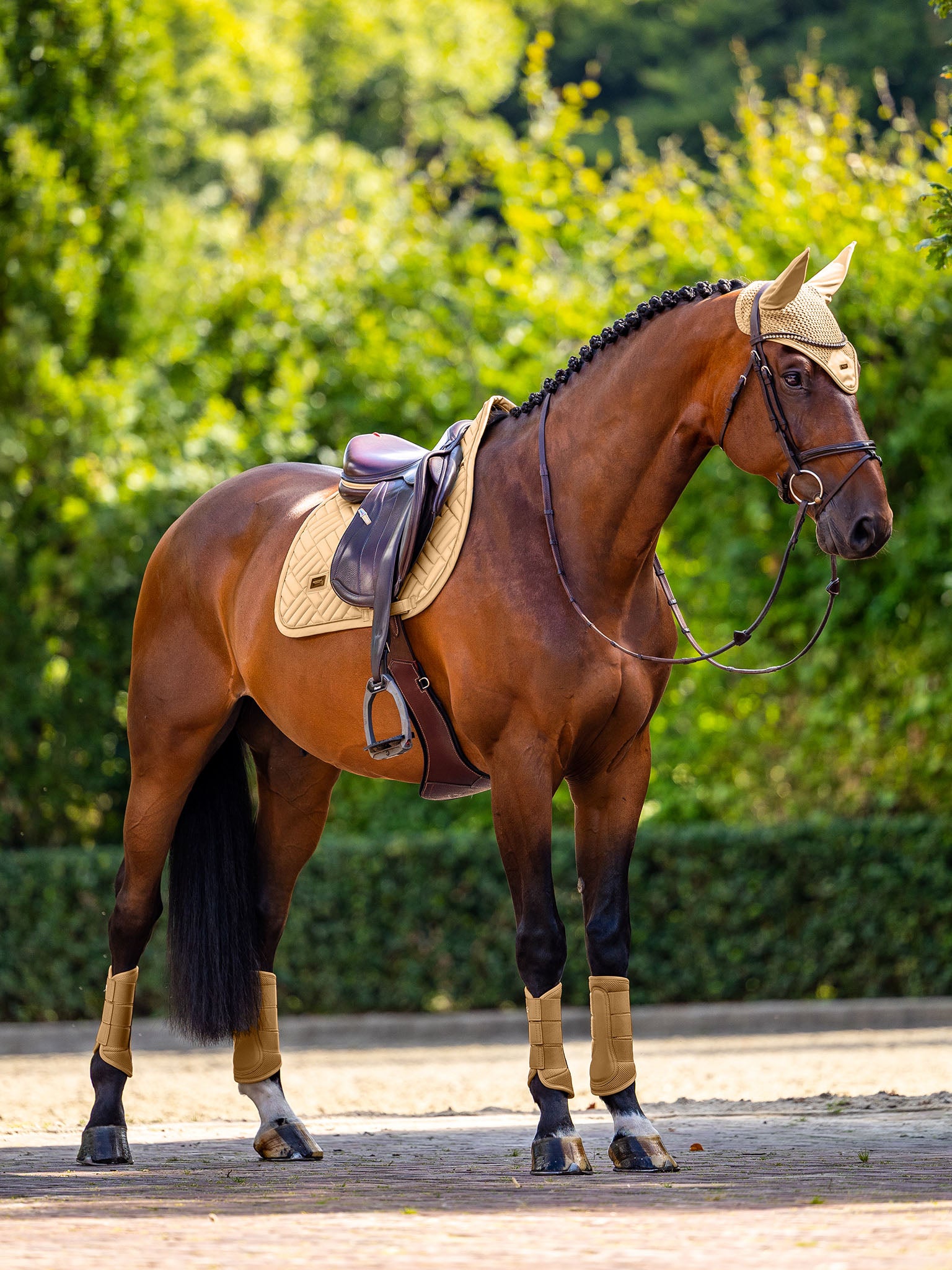 Mesh Brushing Boots Midsummer Glow | Equestrian Stockholm