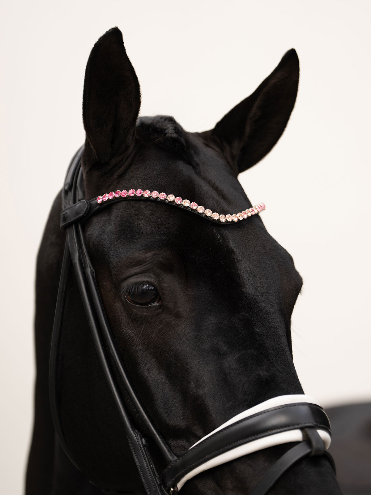 Browband Faded Pink 8mm