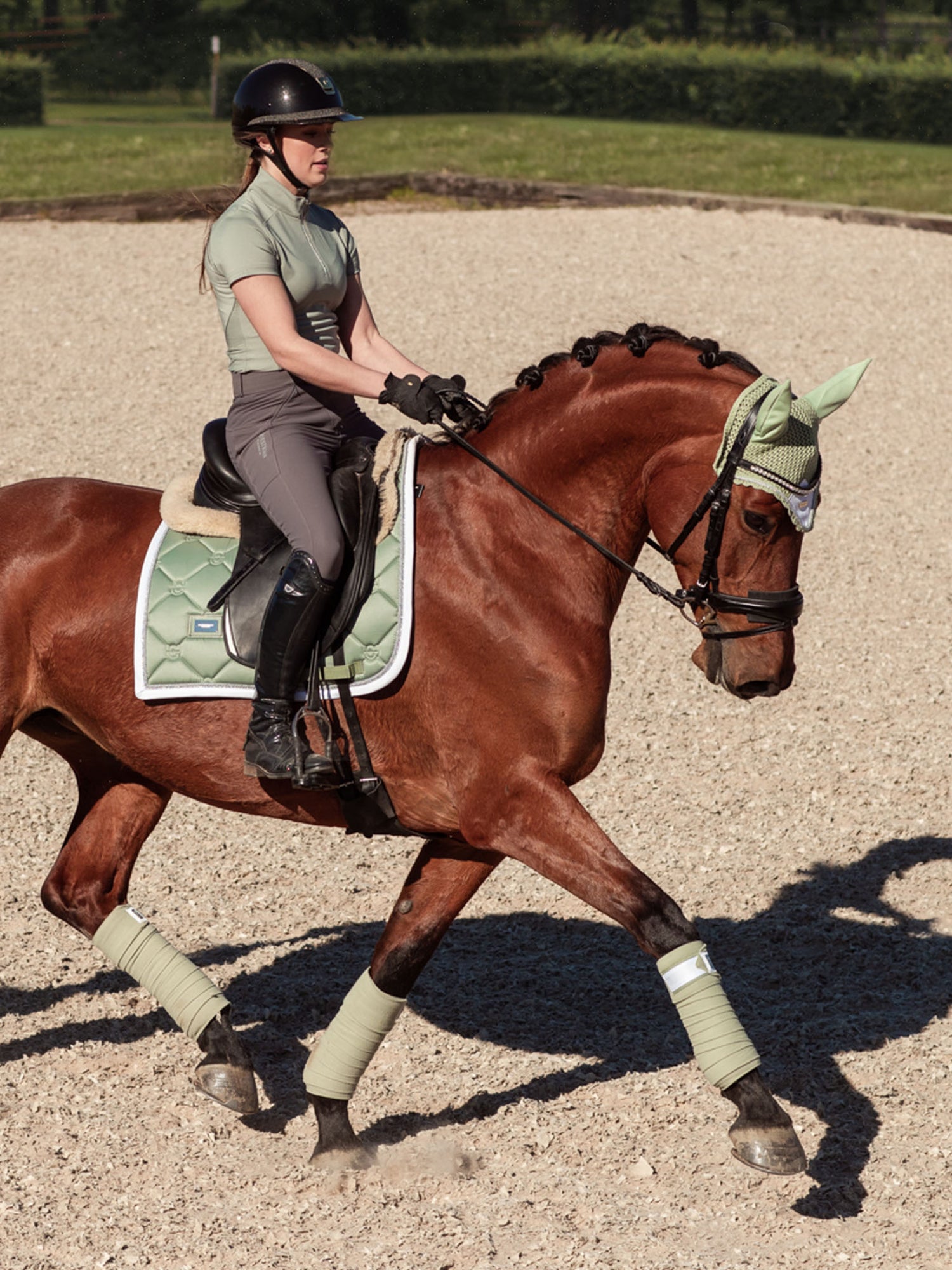 Dressage Saddle Pad Pistachio White