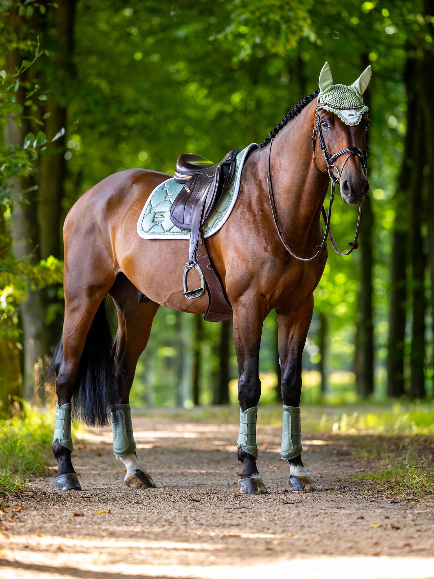 Jump Saddle Pad Pistachio White
