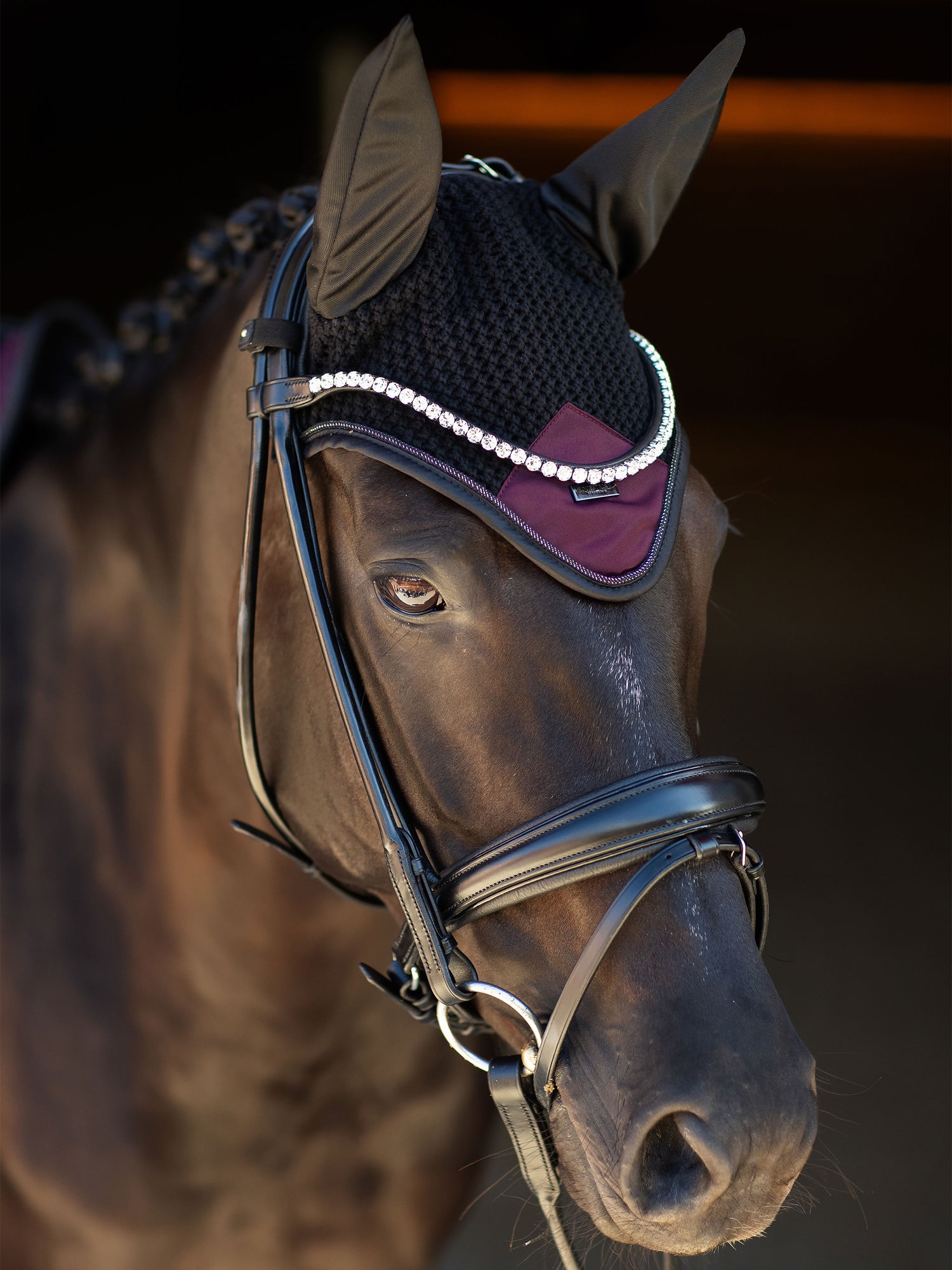 Fliegenhaube Modern Purple Night 