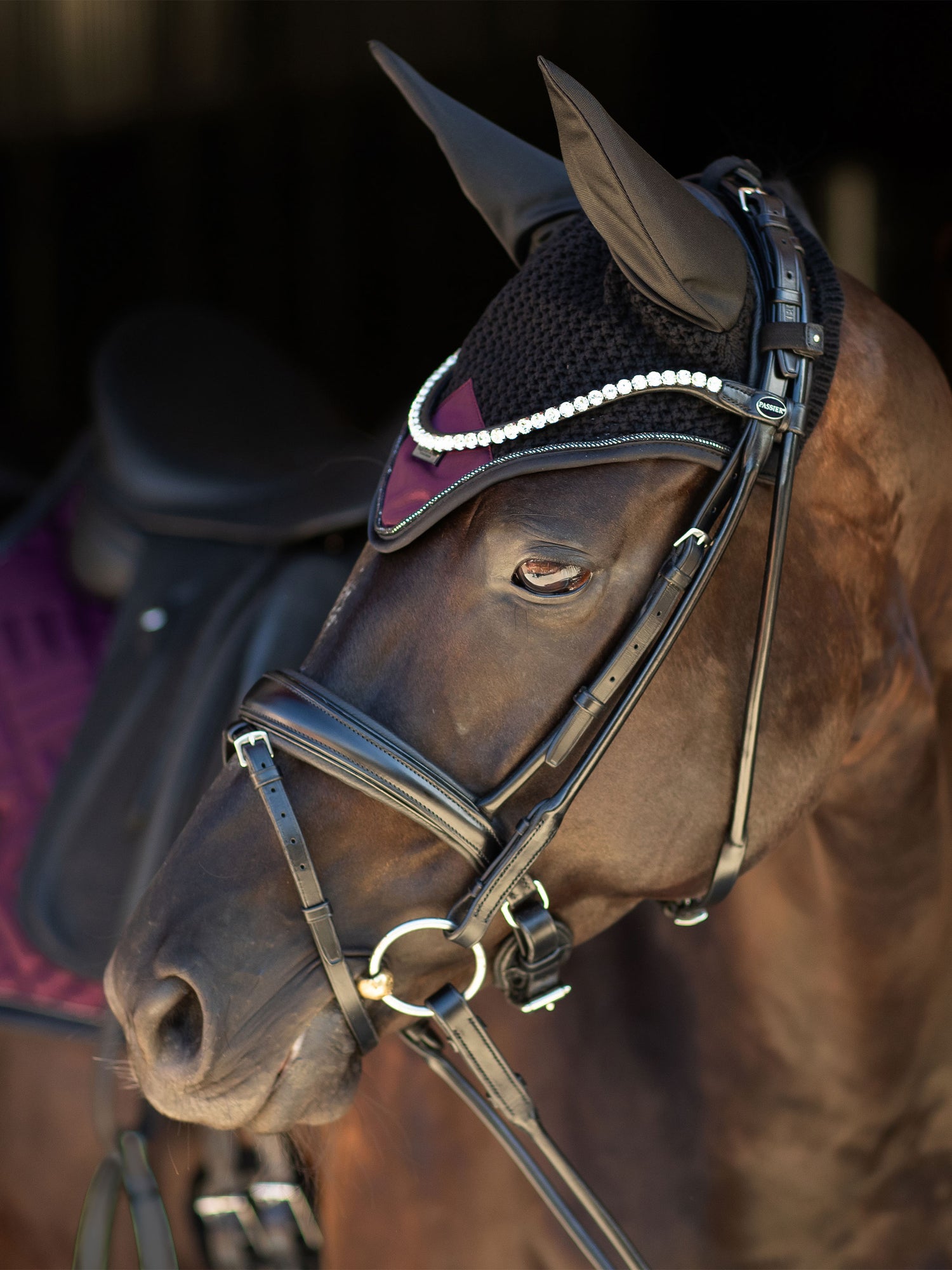 Ear Bonnet Modern Purple Night