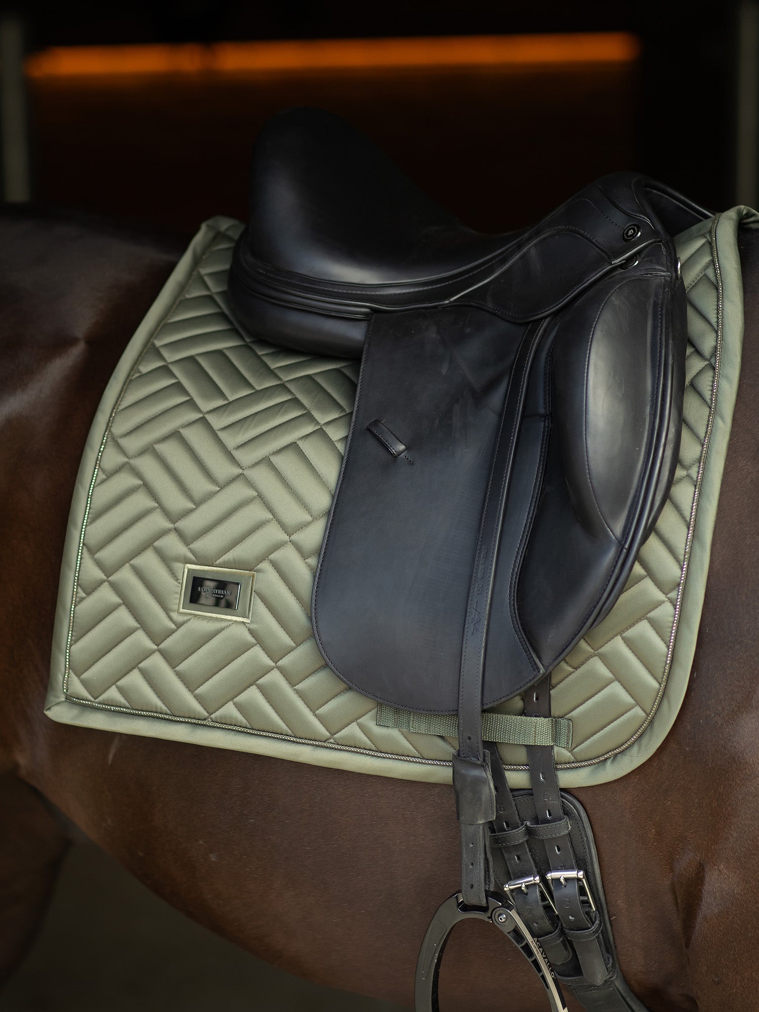 Dressage Saddle Pad Modern Striking Valley