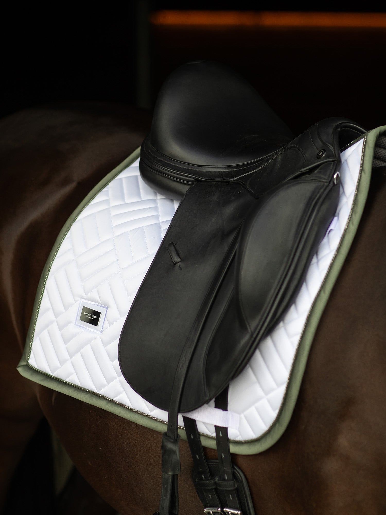 Dressage Saddle Pad Modern White Striking Valley