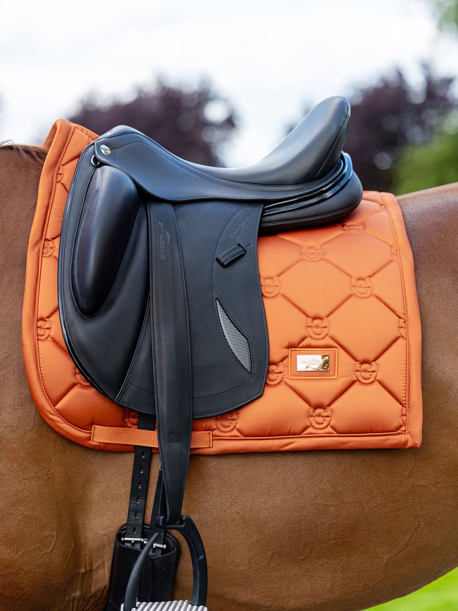 Tapis de Dressage Satin Chestnut