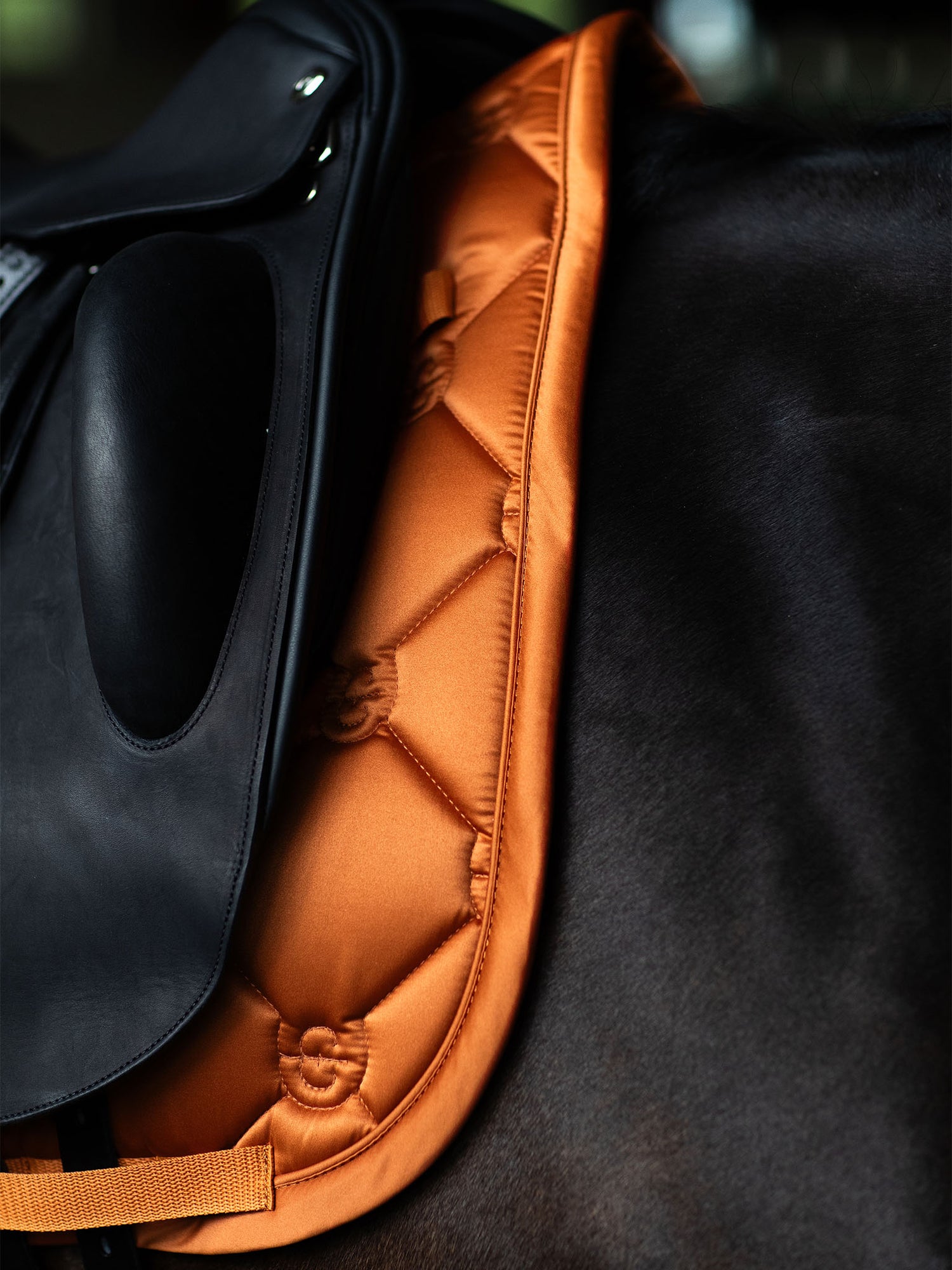 Tapis de Dressage Satin Chestnut