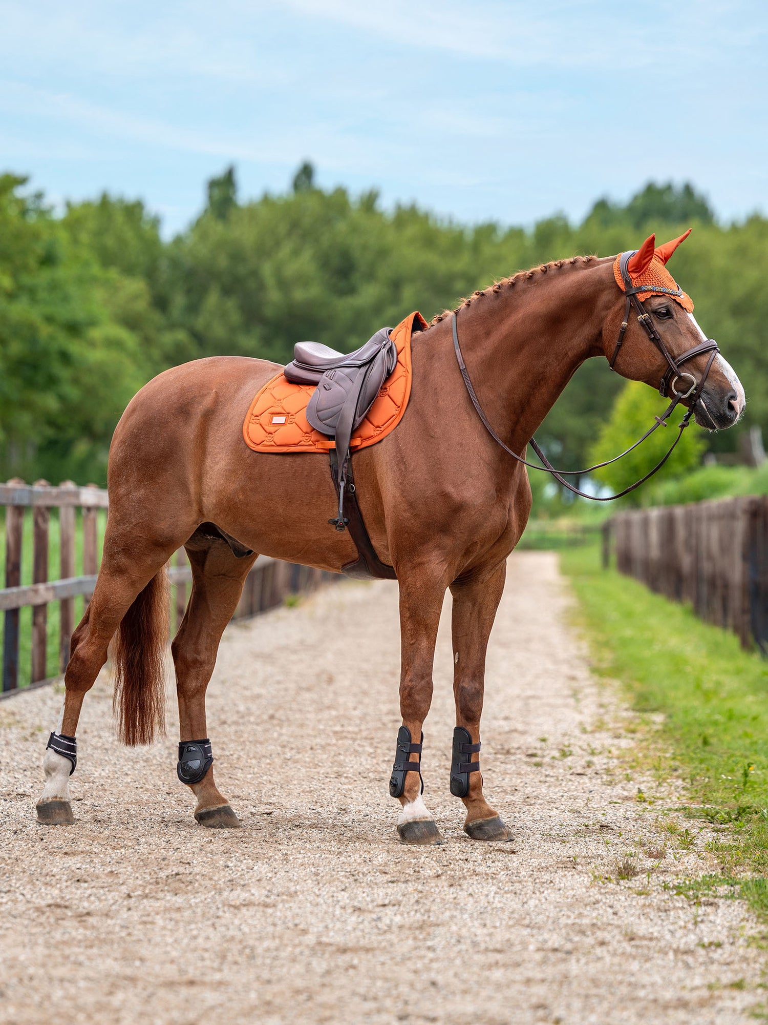 Bonnet de cheval Satin Chestnut
