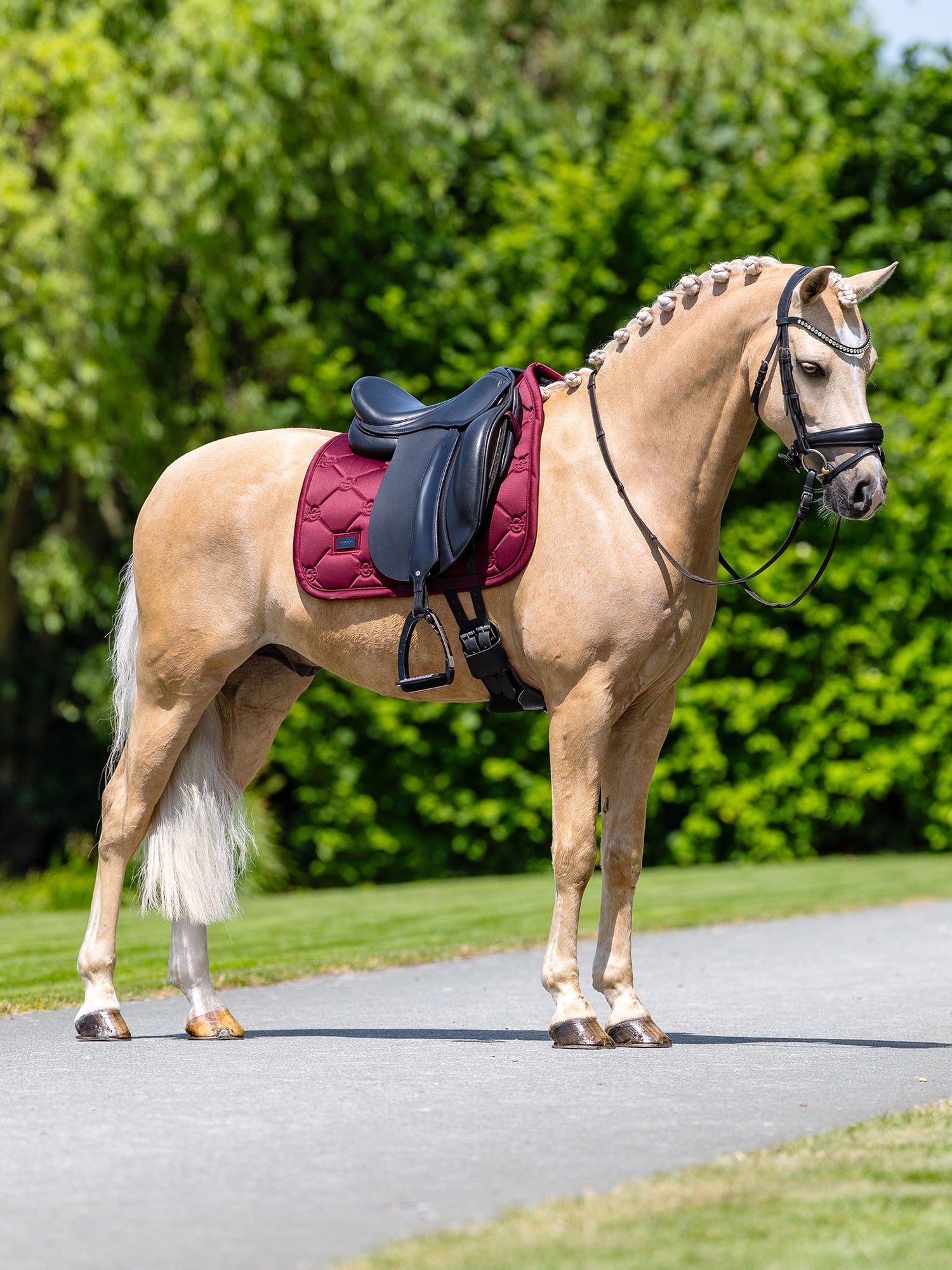 Tapis de Dressage Satin Merlot