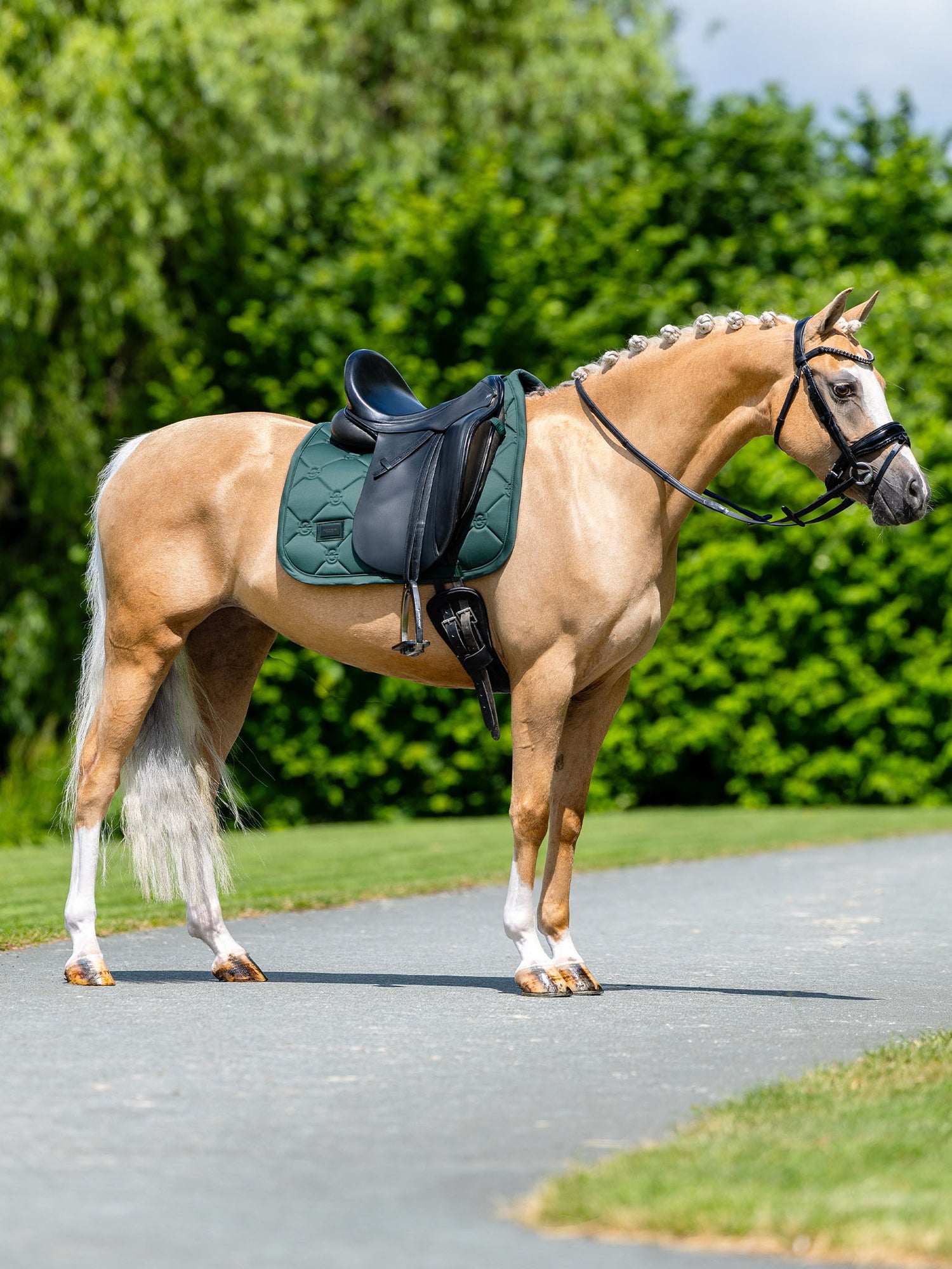 Tapis de Dressage Satin Sycamore Green