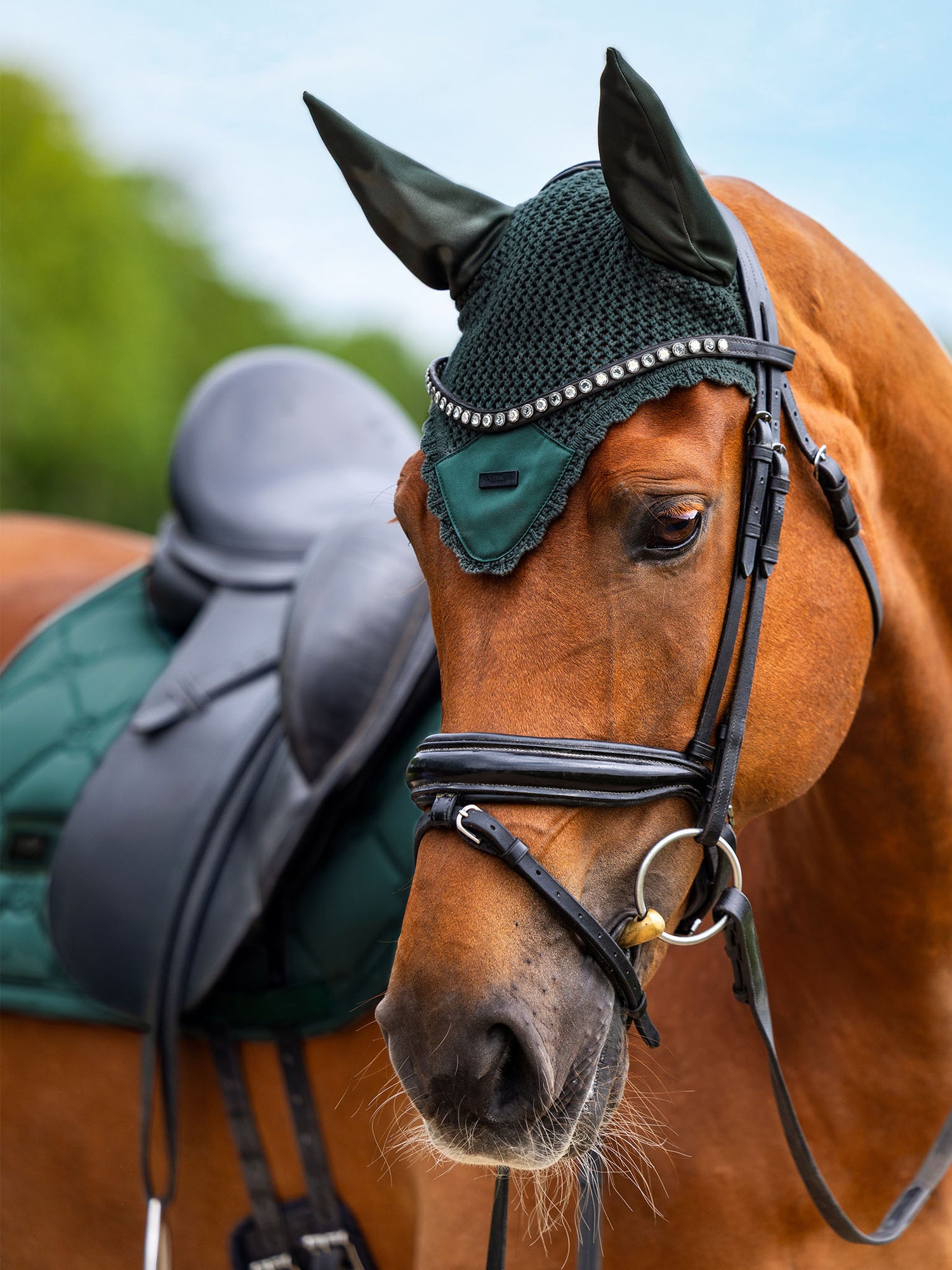 Bonnet de cheval Satin Sycamore Green