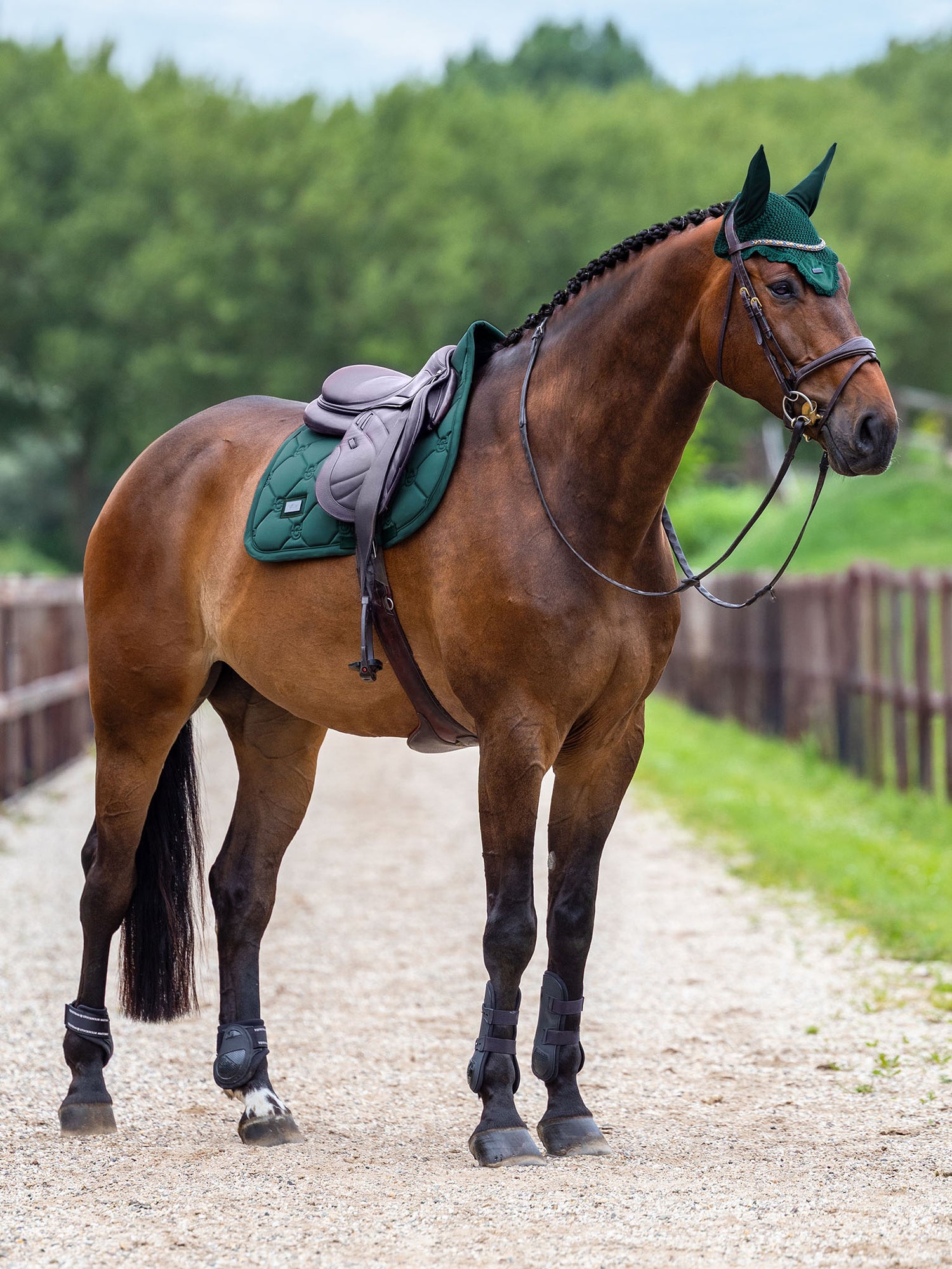 Jump Saddle Pad Satin Sycamore Green