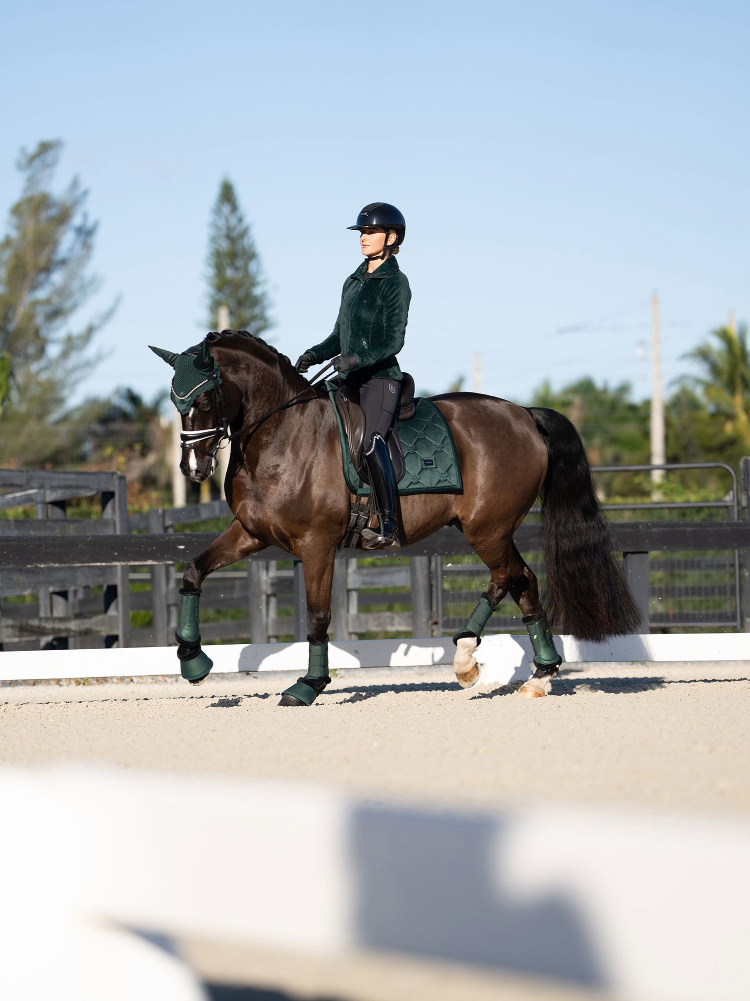Veste, tapis de selle, bonnet, guêtres et cloches Sycamore Green d’Equestrian Stockholm sur un cheval et son cavalier.