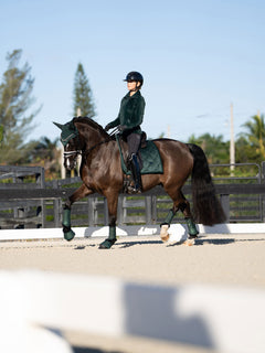 Veste, tapis de selle, bonnet, guêtres et cloches Sycamore Green d’Equestrian Stockholm sur un cheval et son cavalier.