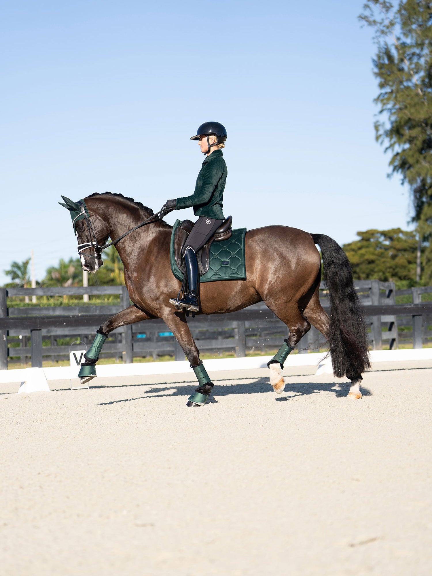 Equestrian Stockholm Sycamore Green Velvet Dressage Saddle Pad, Ear Bonnet, and Fleece Jacket on a horse and rider.
