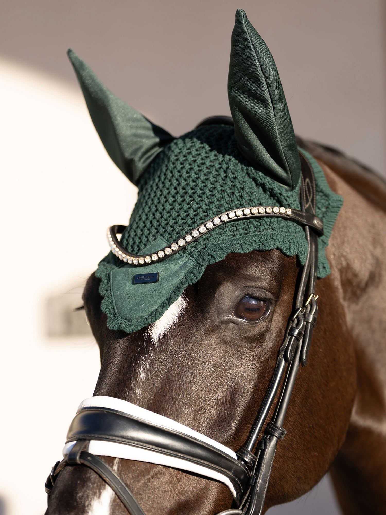 Equestrian Stockholm Sycamore Green Velvet Ear Bonnet on a dark horse with a crystal-accented bridle.