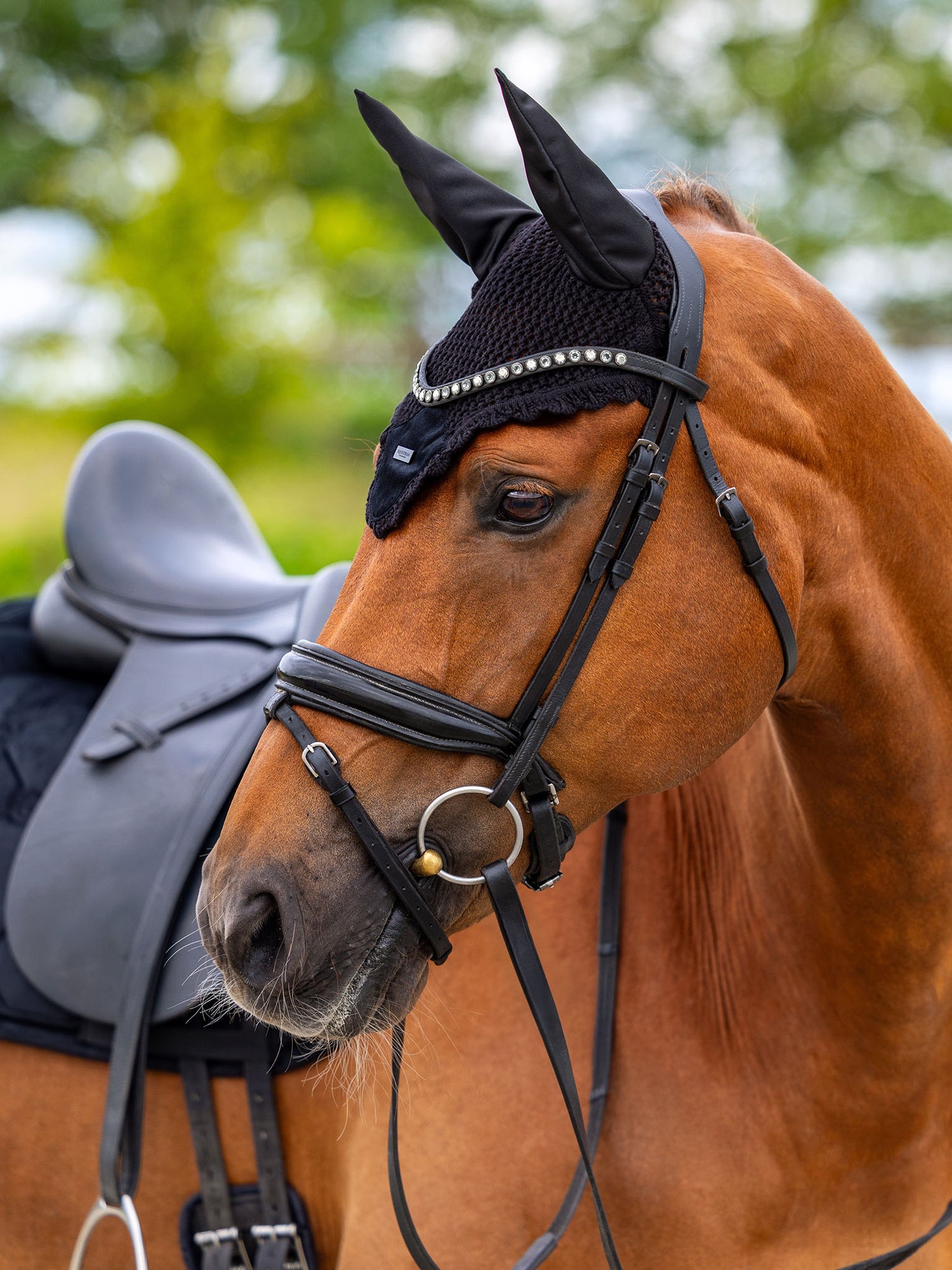 Bonnet de cheval Velvet Black