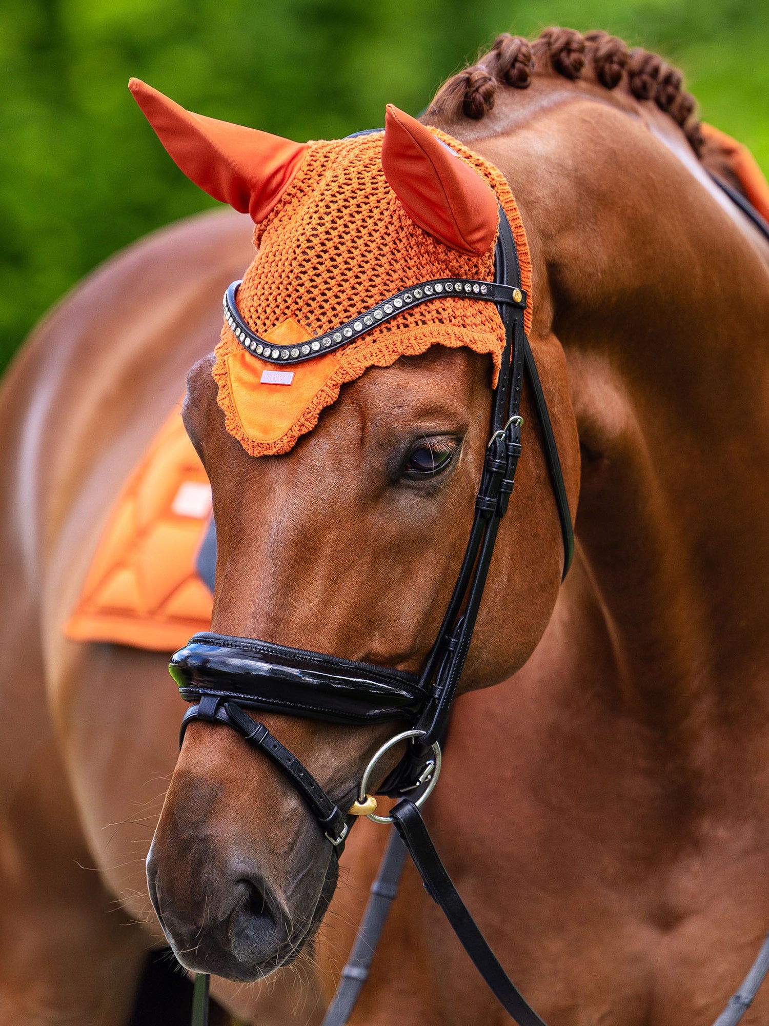 Bonnet de cheval Velvet Chestnut