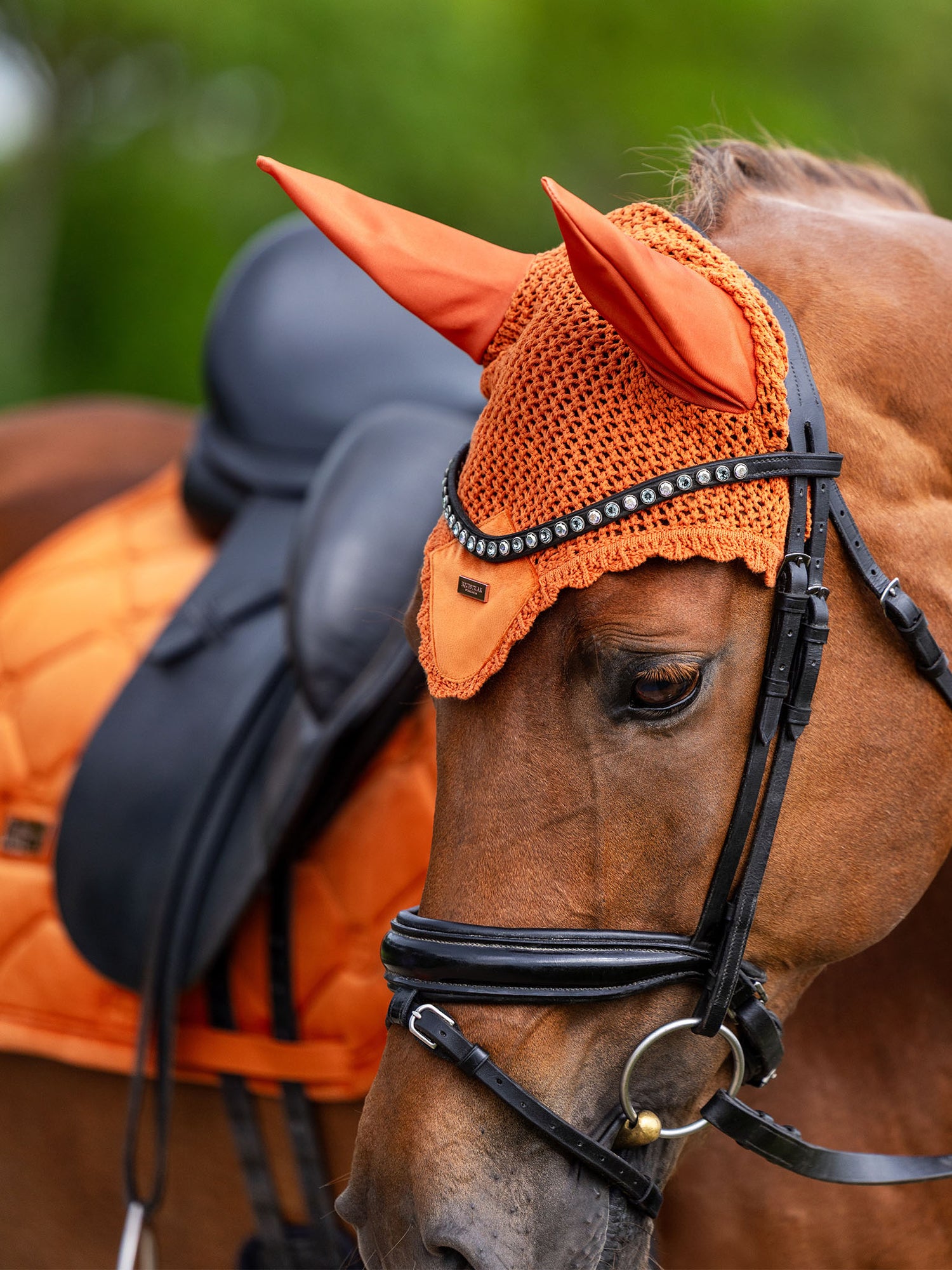 Bonnet de cheval Velvet Chestnut