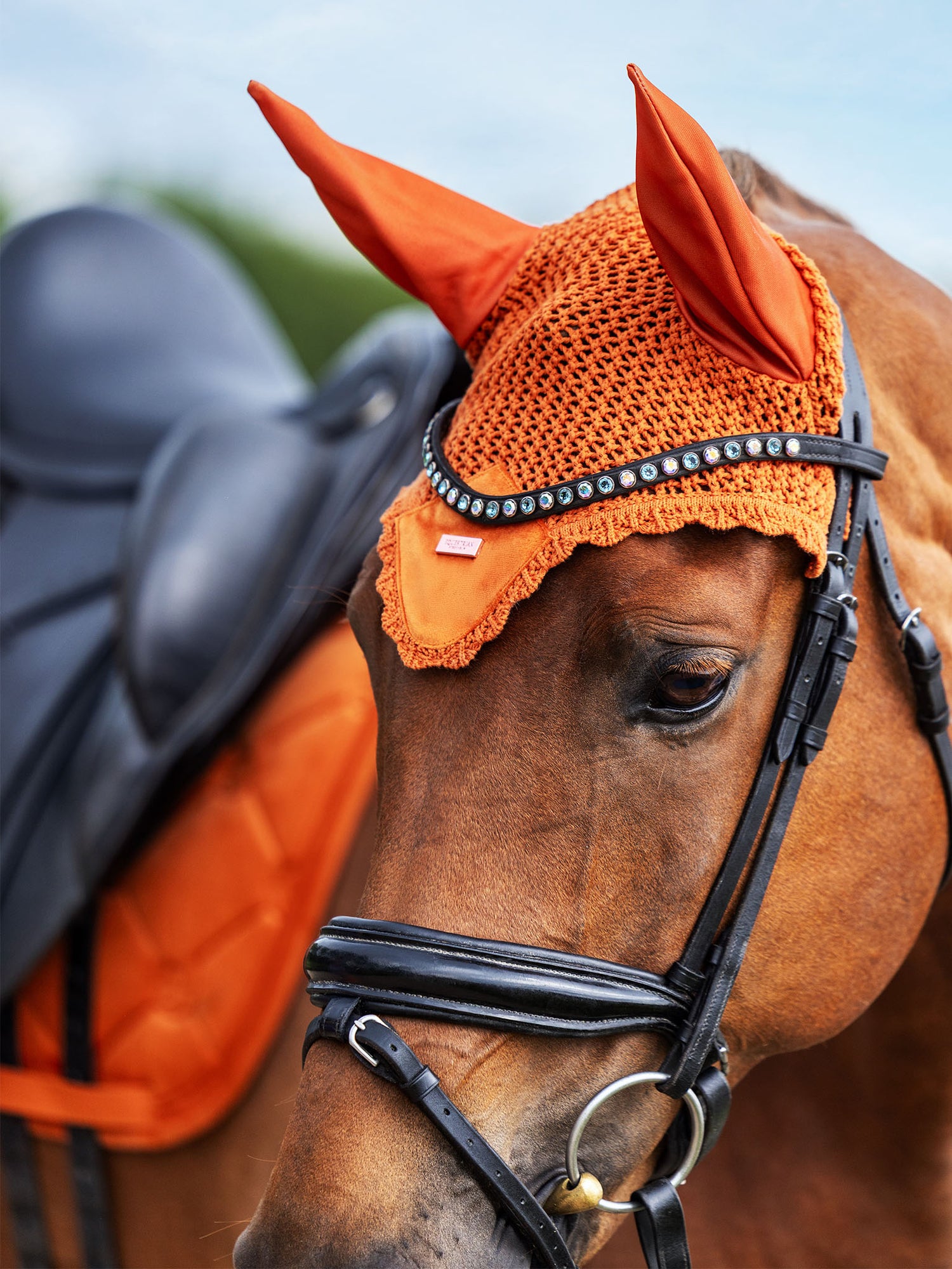 Bonnet de cheval Velvet Chestnut
