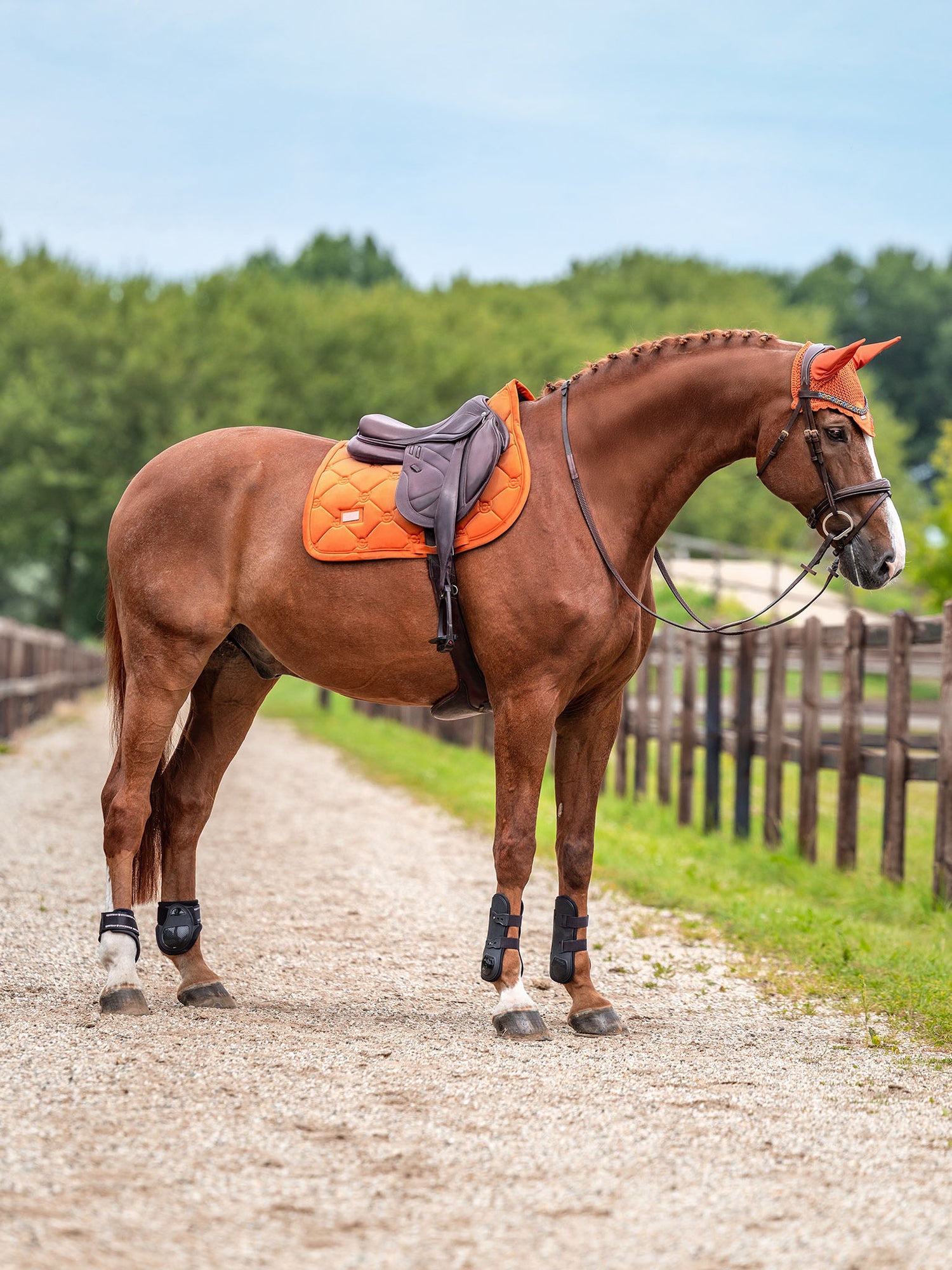 Tapis de Saut Velvet Chestnut