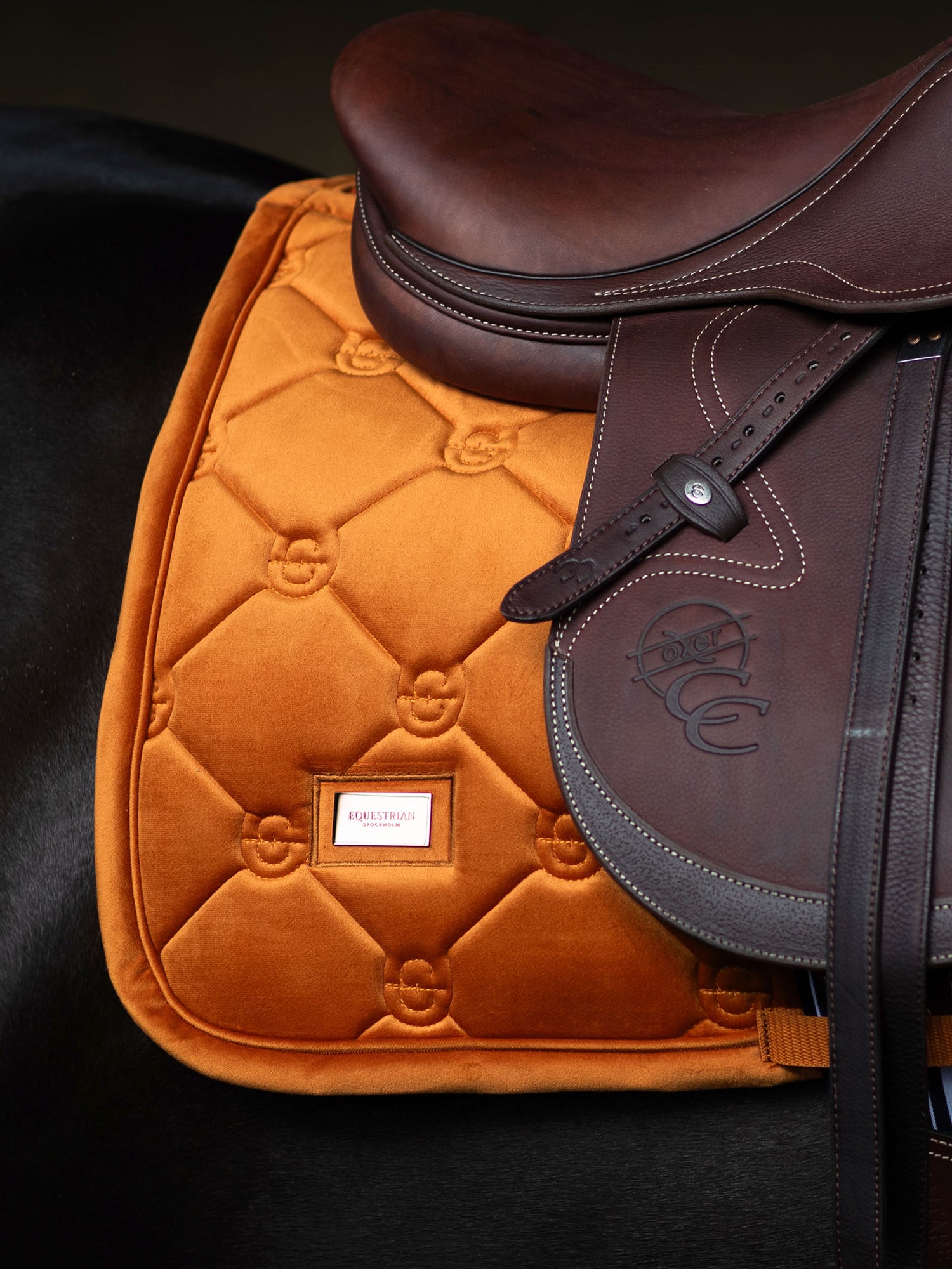 Tapis de Saut Velvet Chestnut