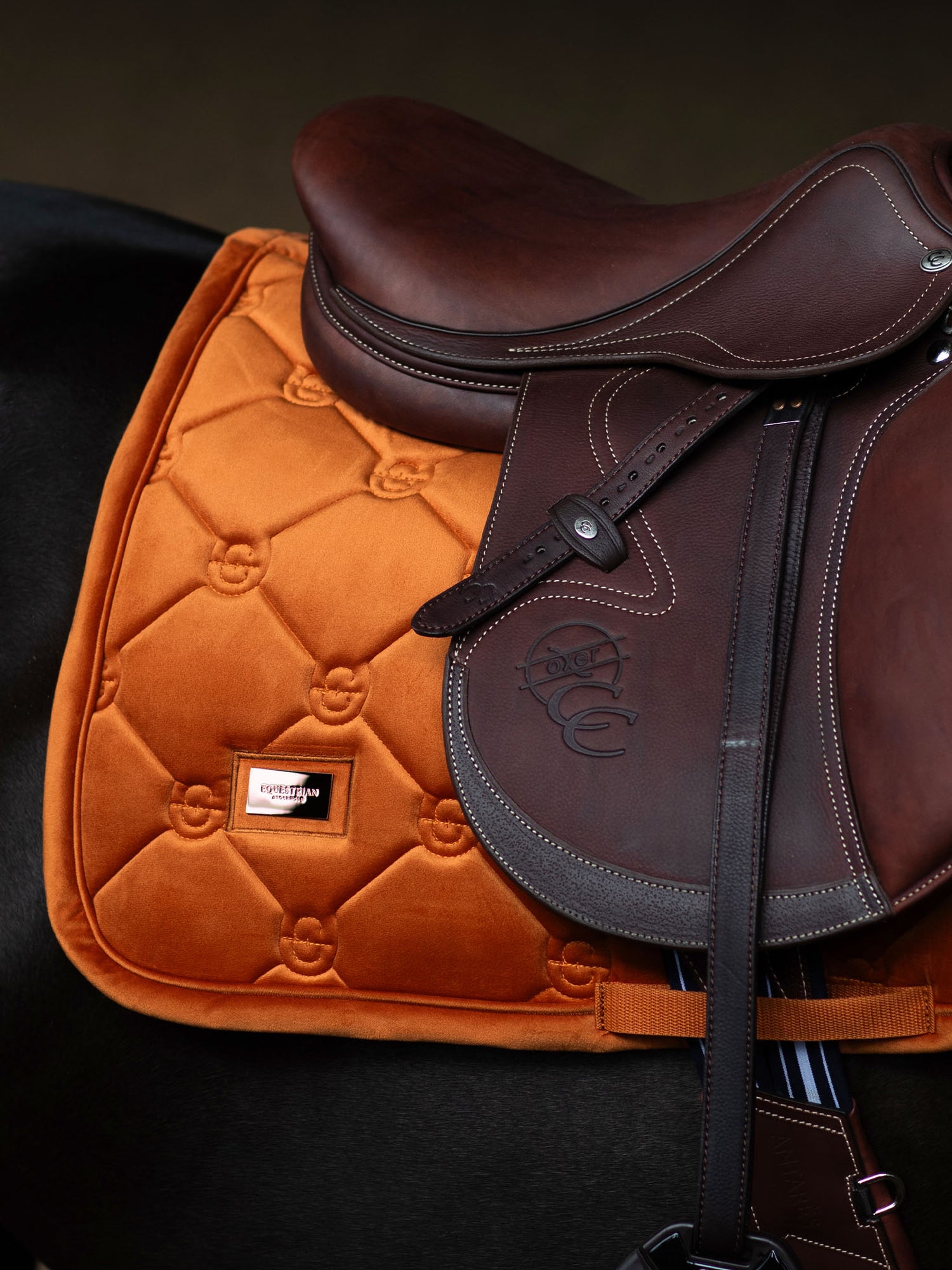 Tapis de Saut Velvet Chestnut
