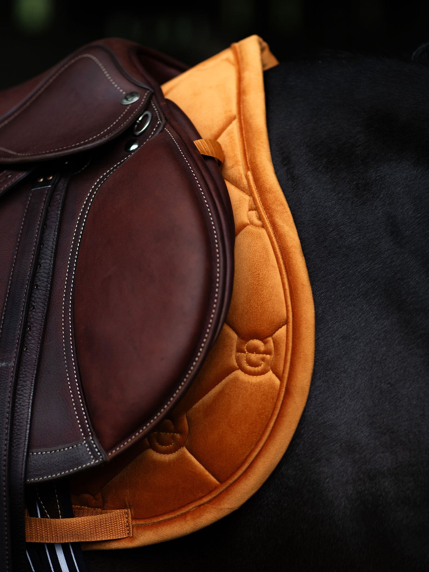 Tapis de Saut Velvet Chestnut